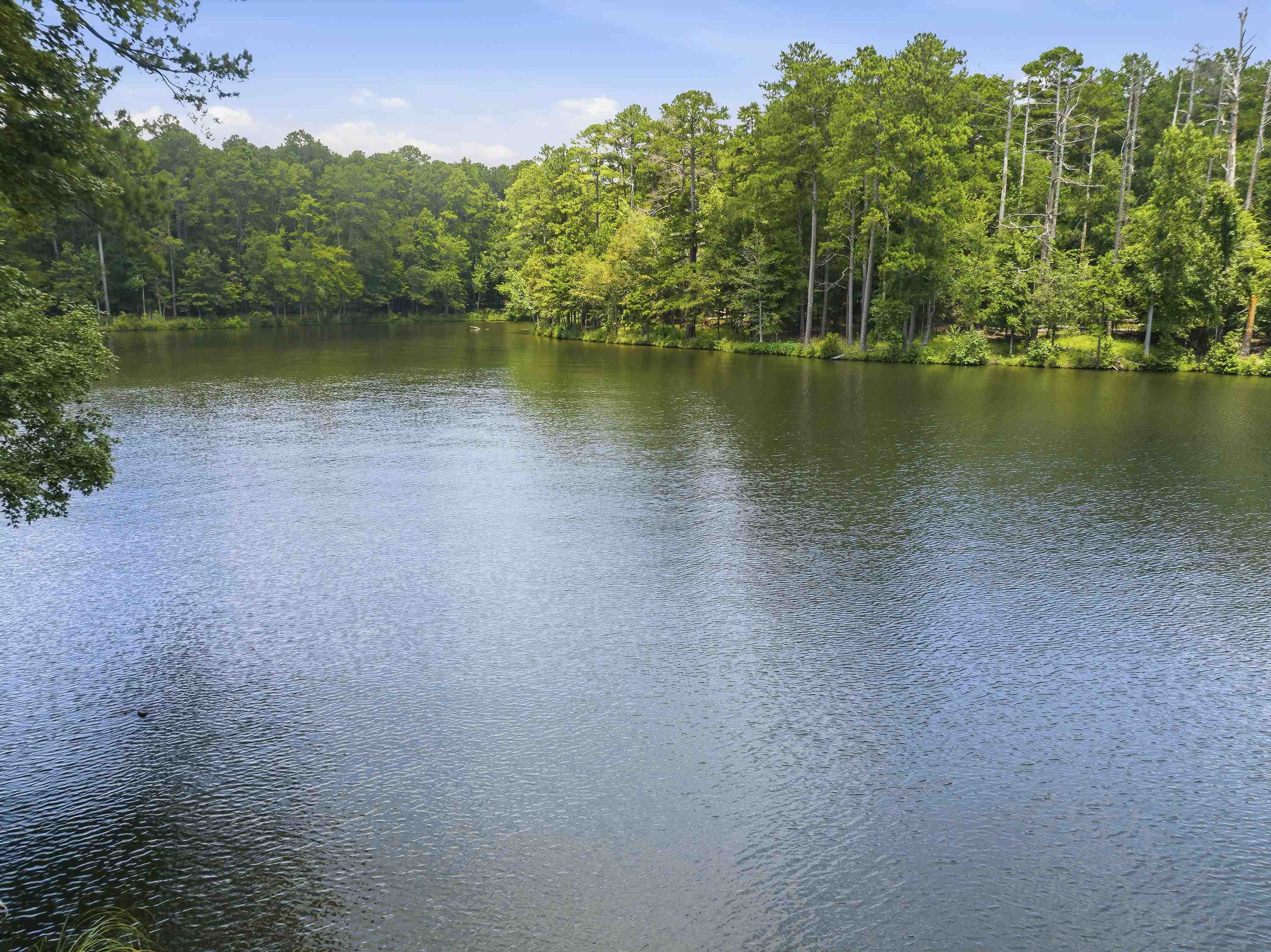 1550 Dogwood Drive image 14