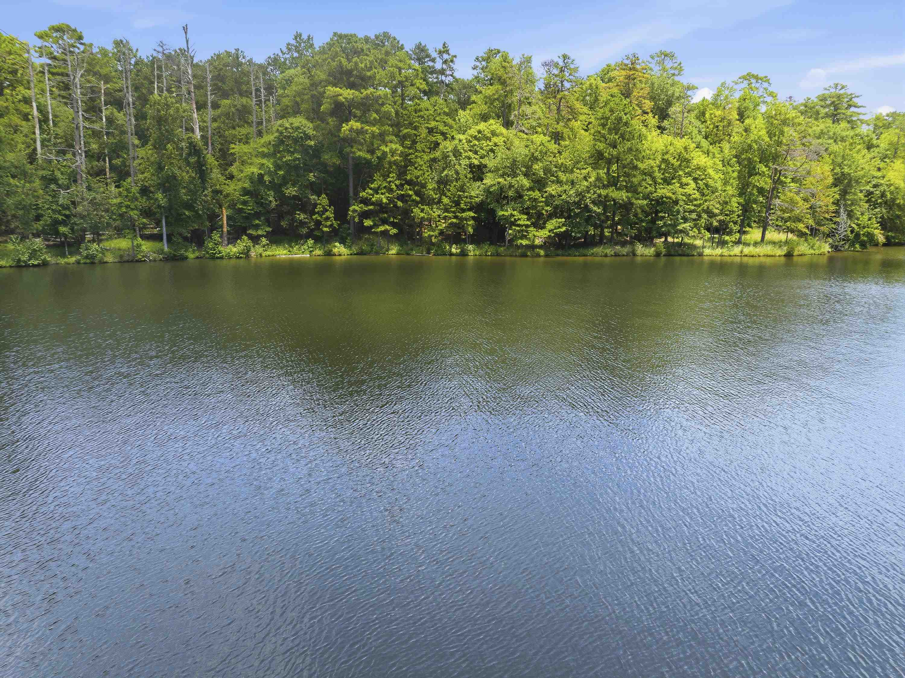 1550 Dogwood Drive image 15