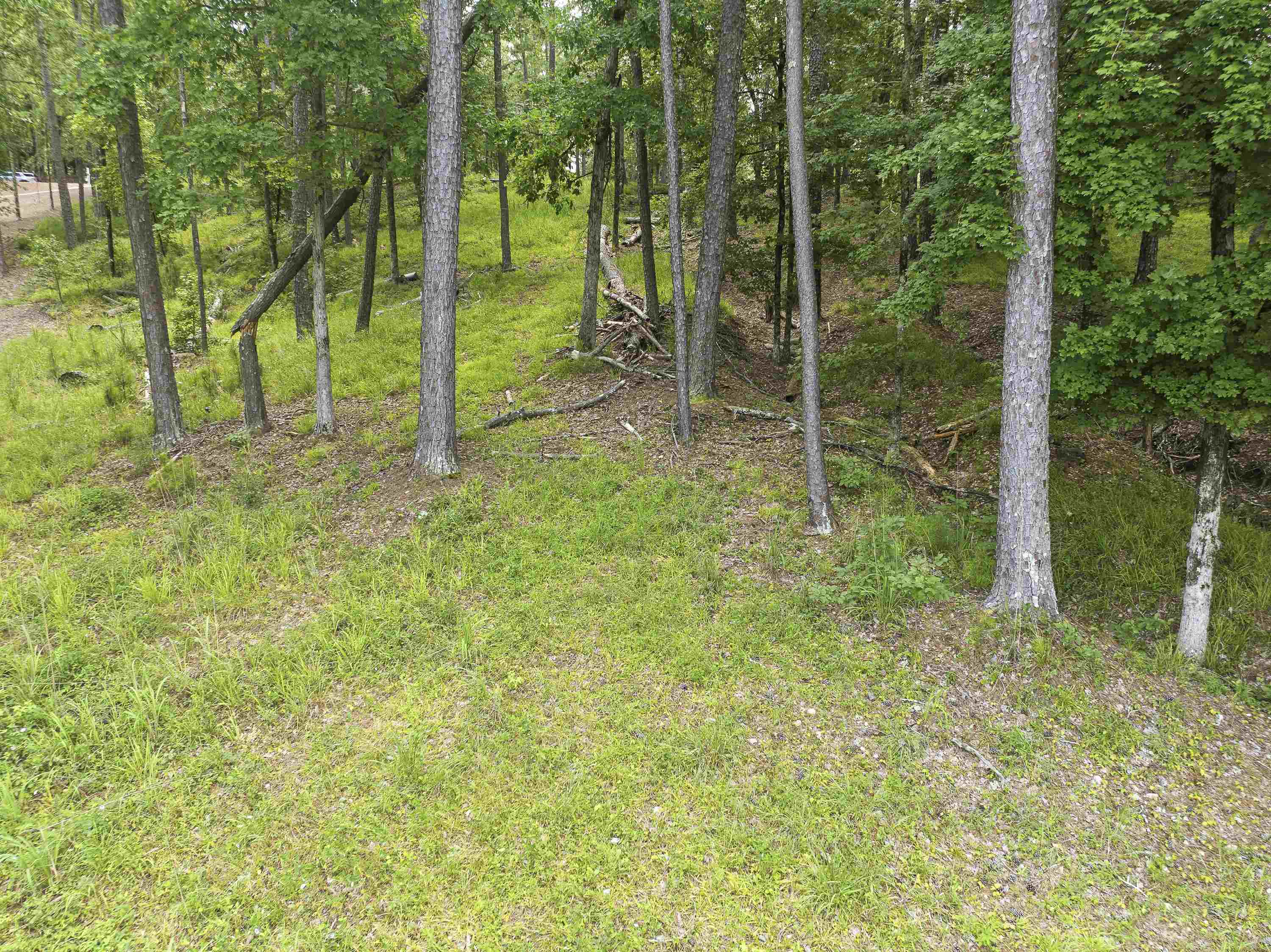 1550 Dogwood Drive image 7