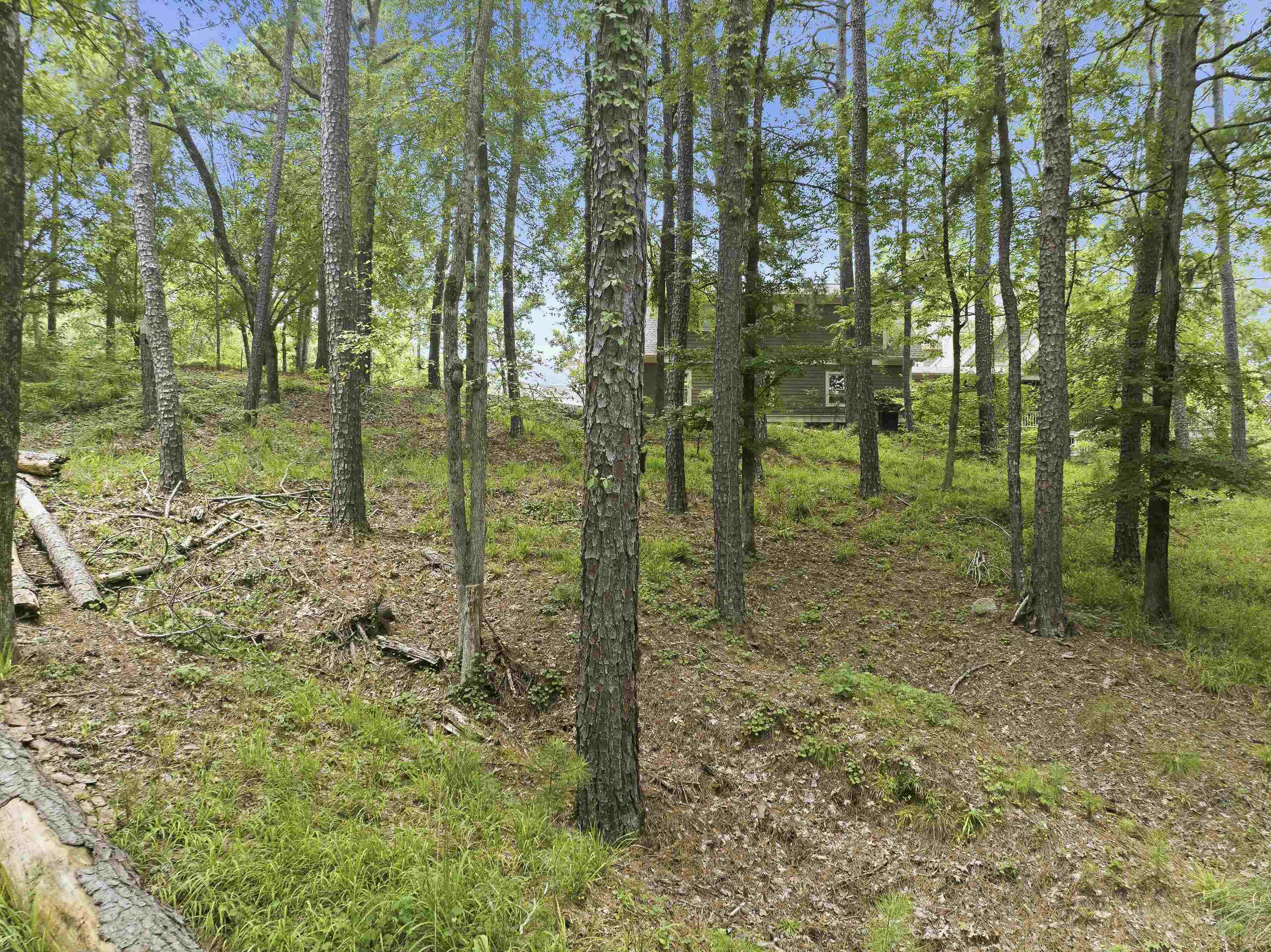 1550 Dogwood Drive image 8