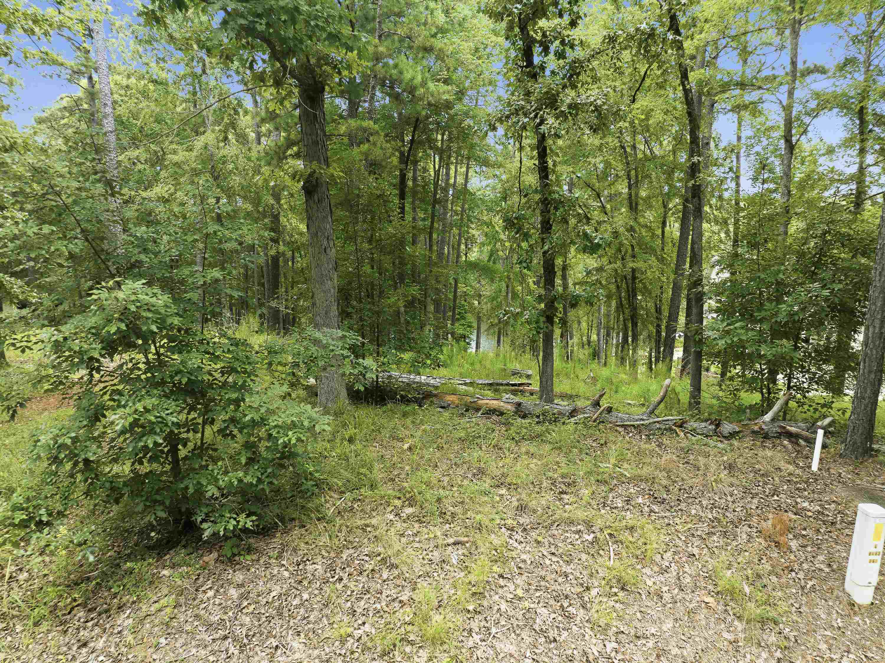 1550 Dogwood Drive image 9