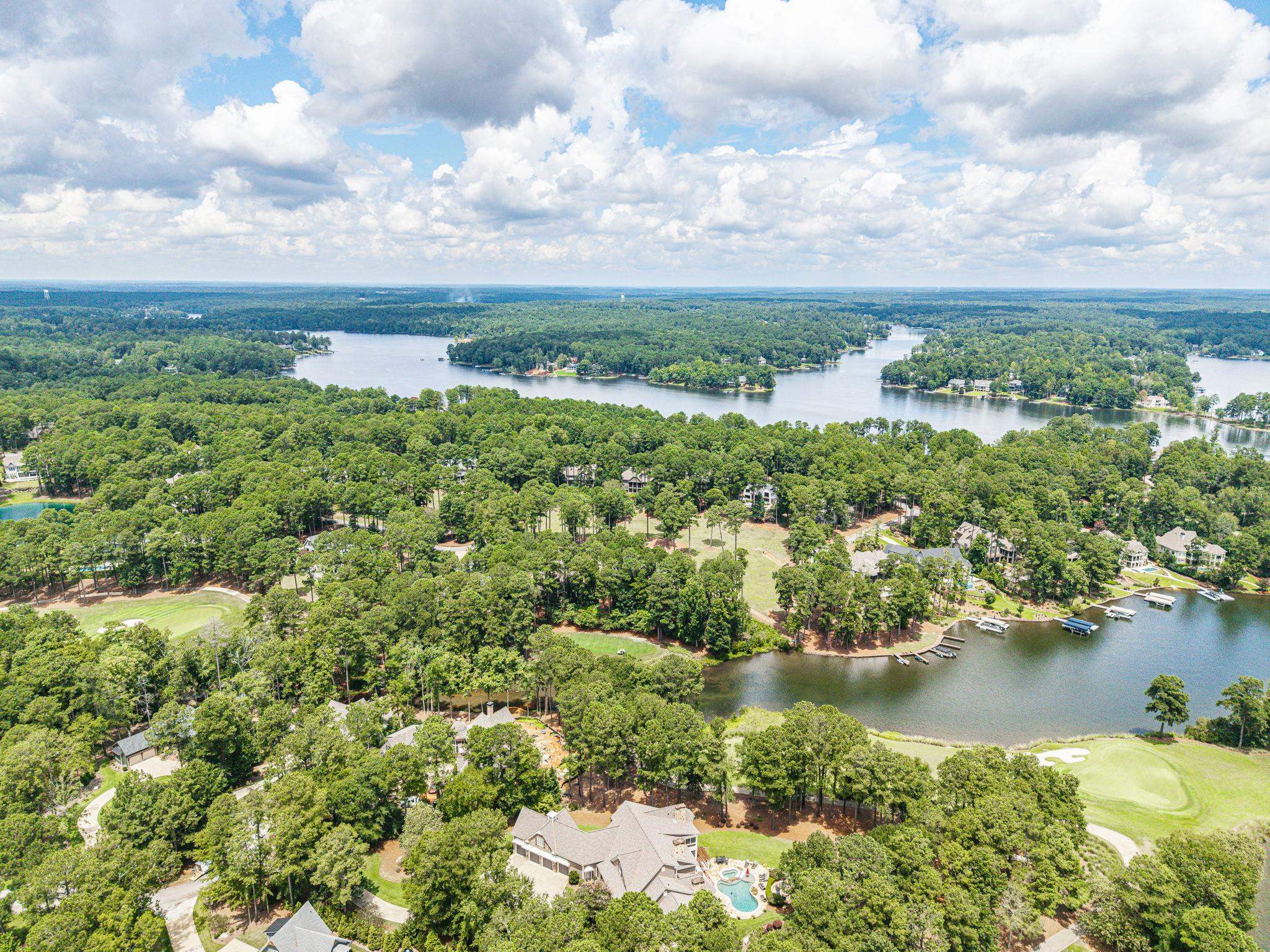 1190 SUGAR RUN image 10