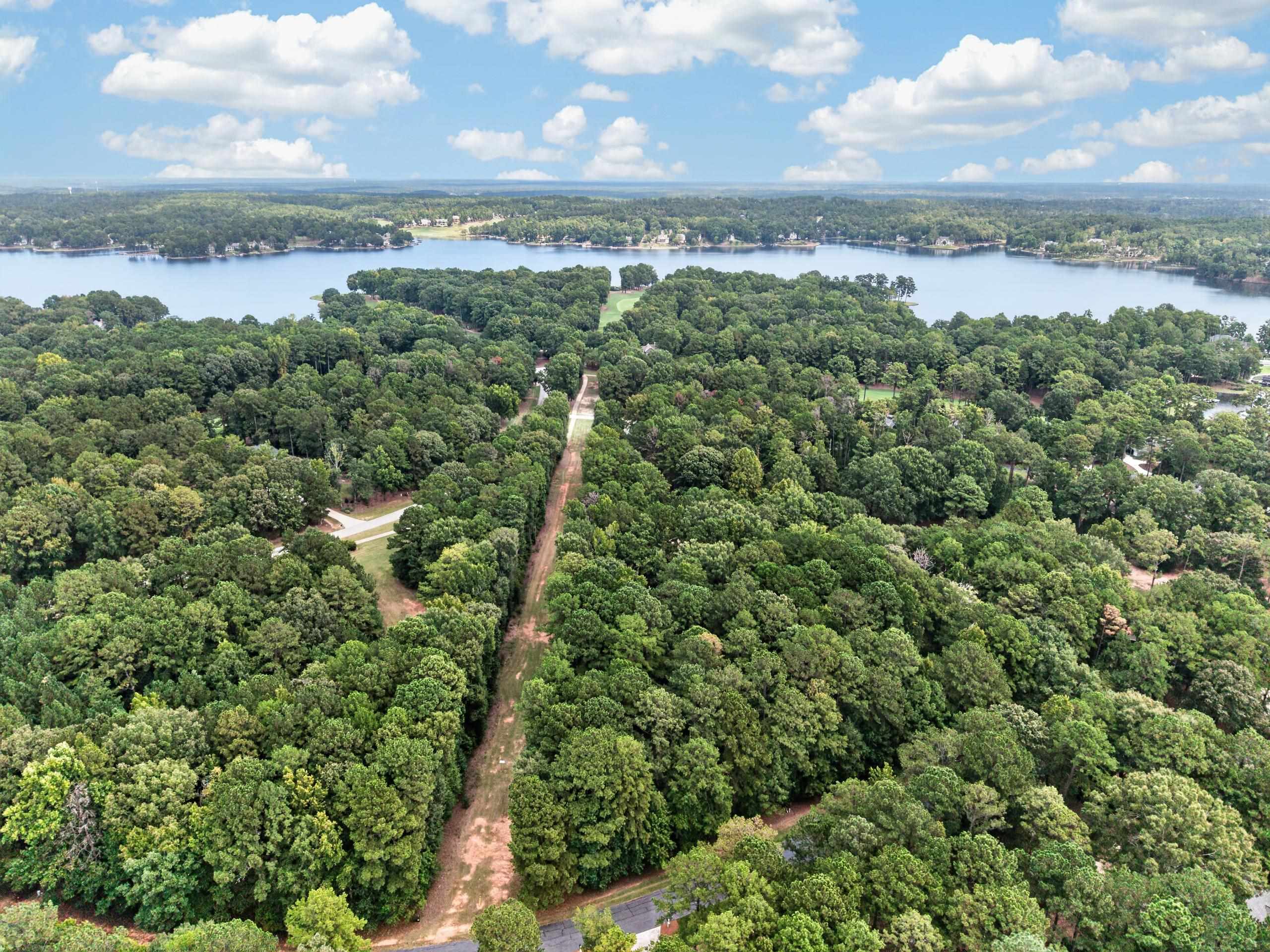 113 Porterfield Drive image 11