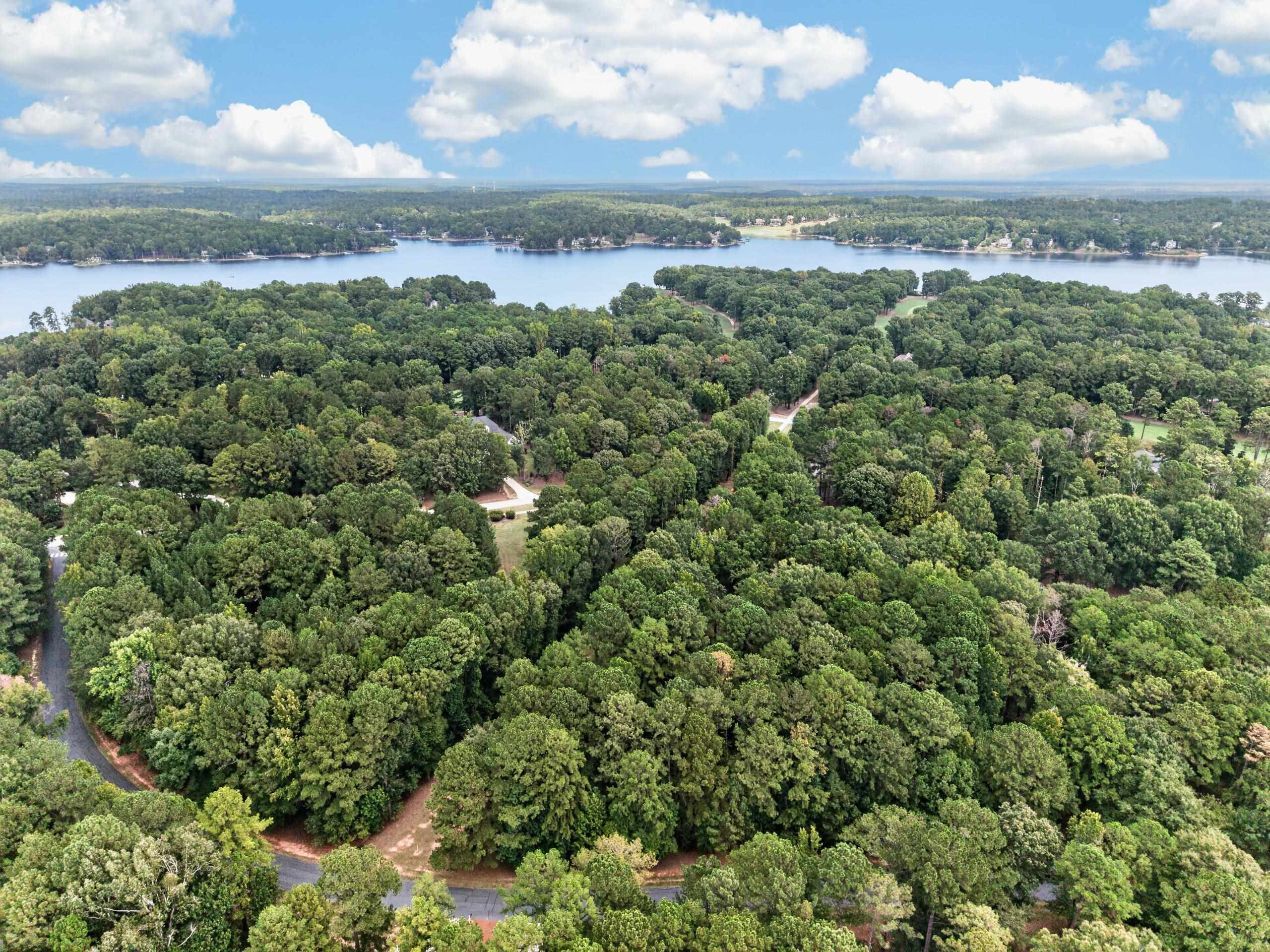 113 Porterfield Drive image 13