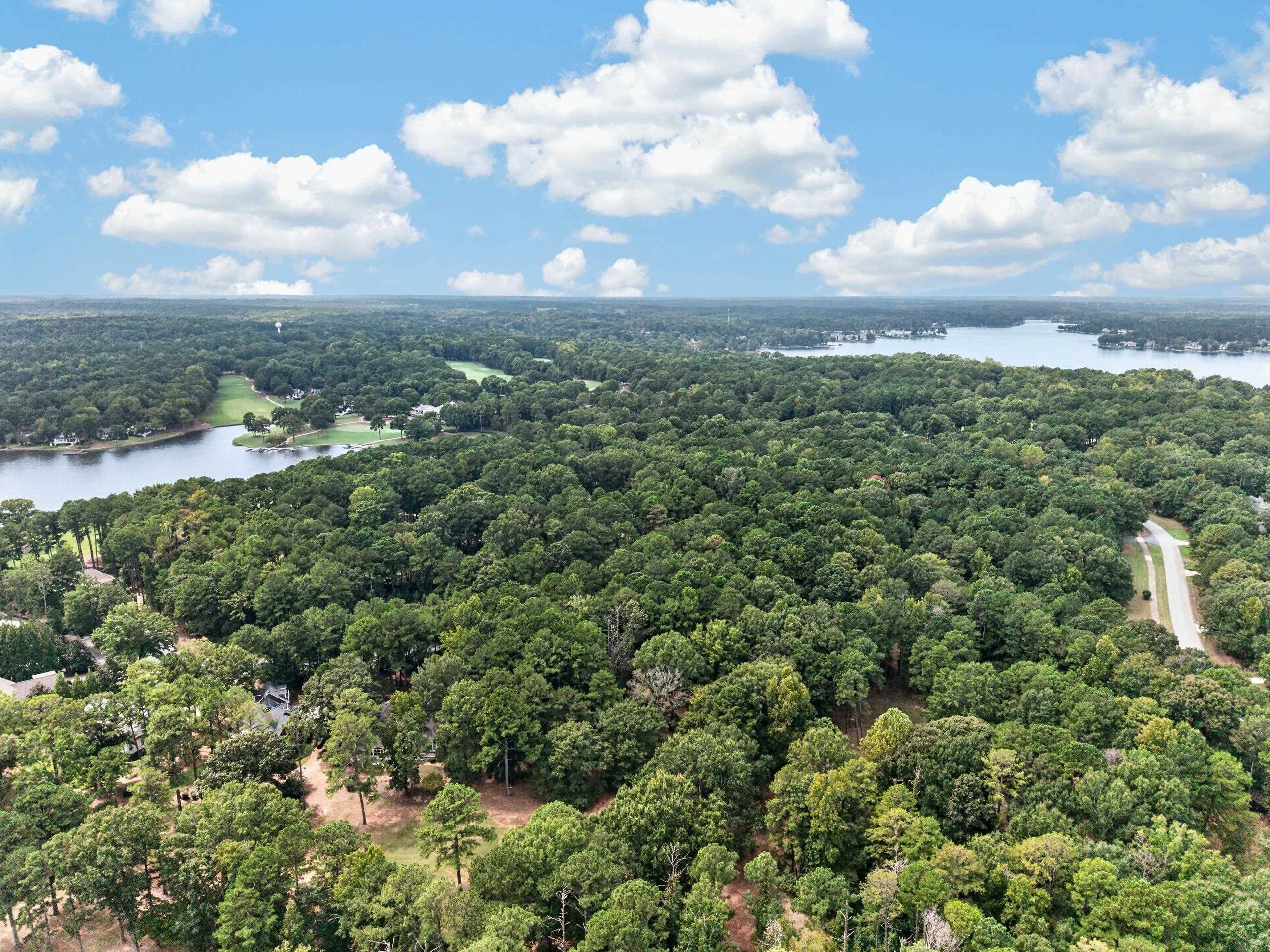 113 Porterfield Drive image 4