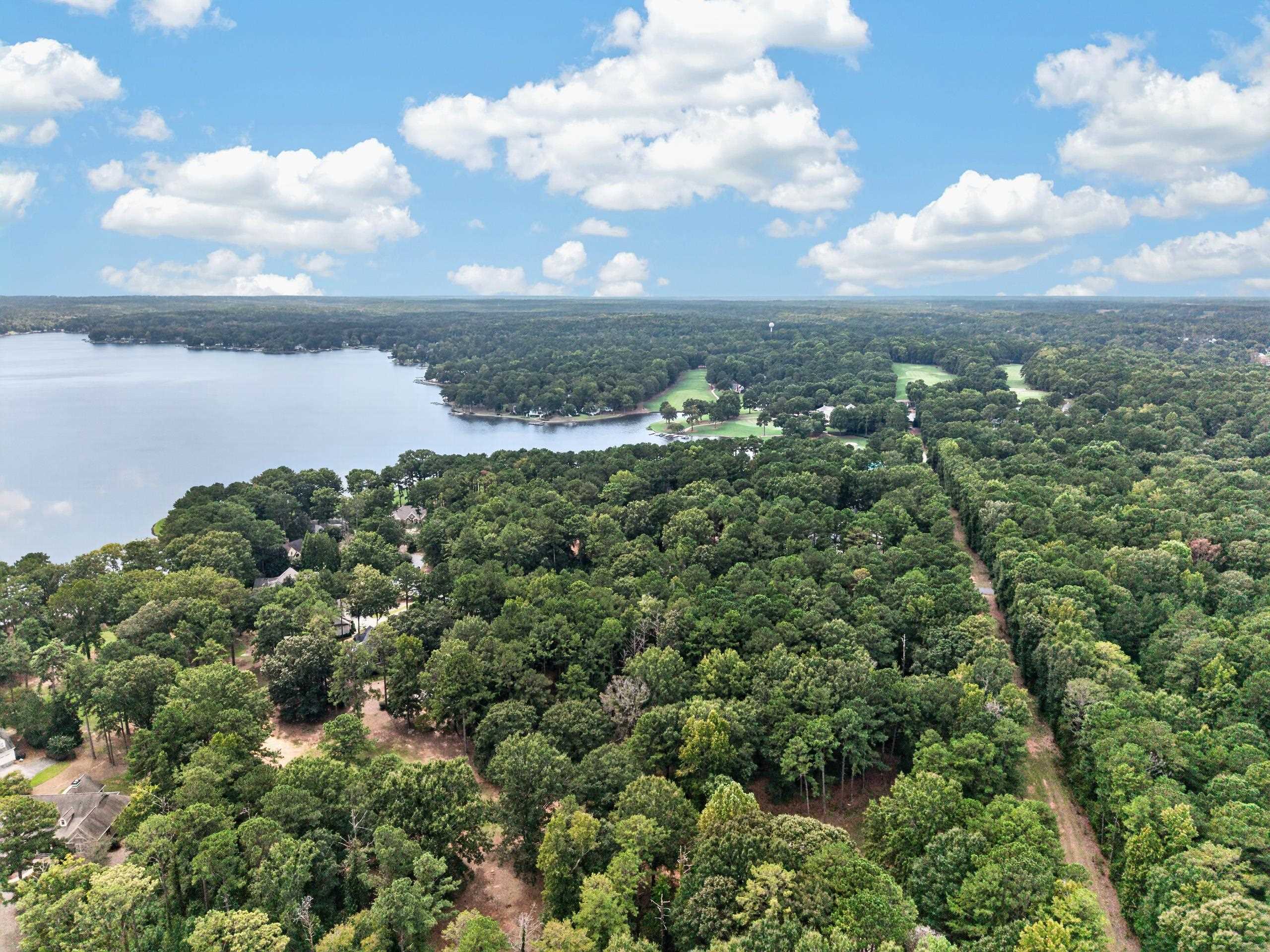 113 Porterfield Drive image 5