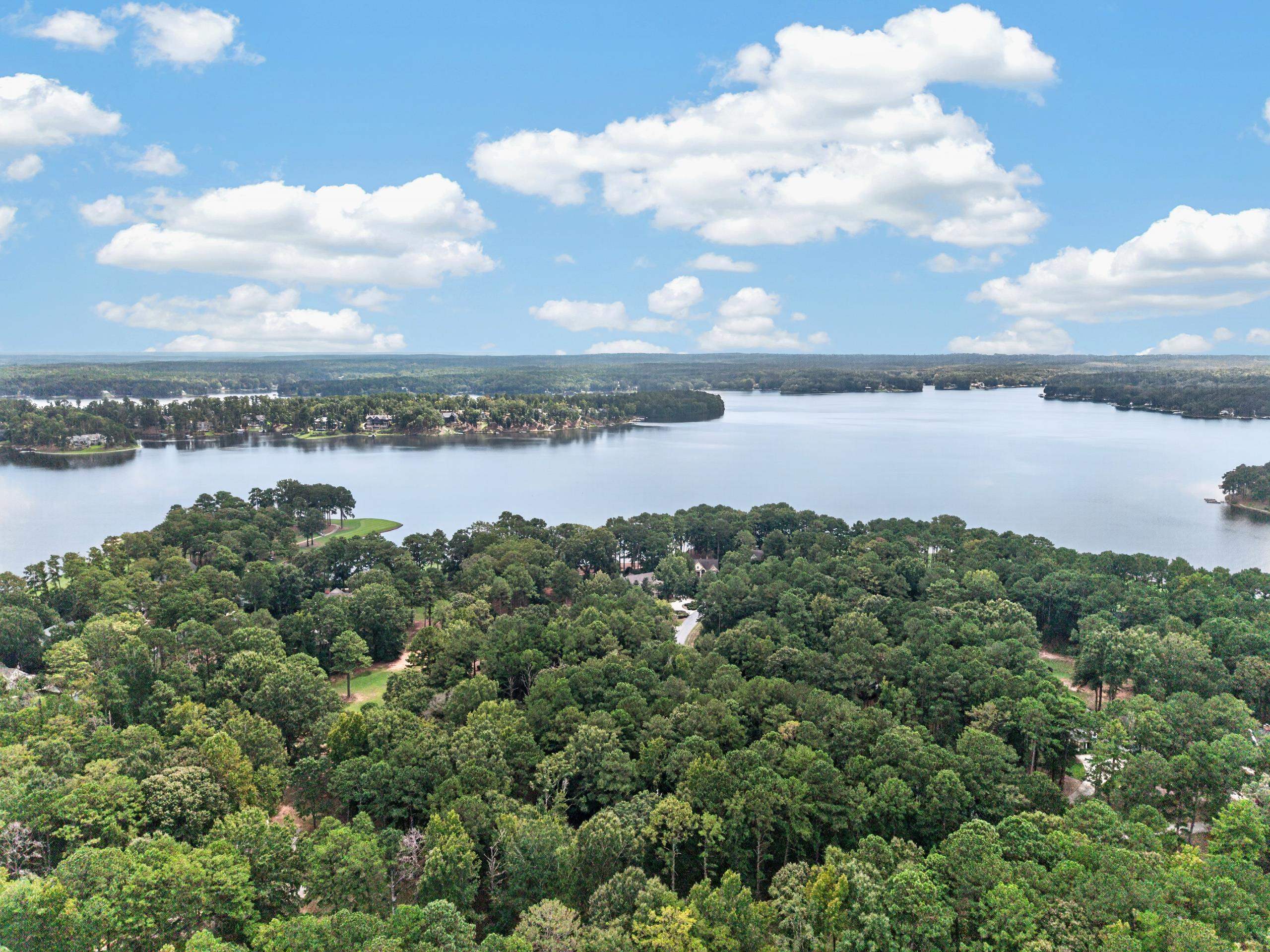 113 Porterfield Drive image 7