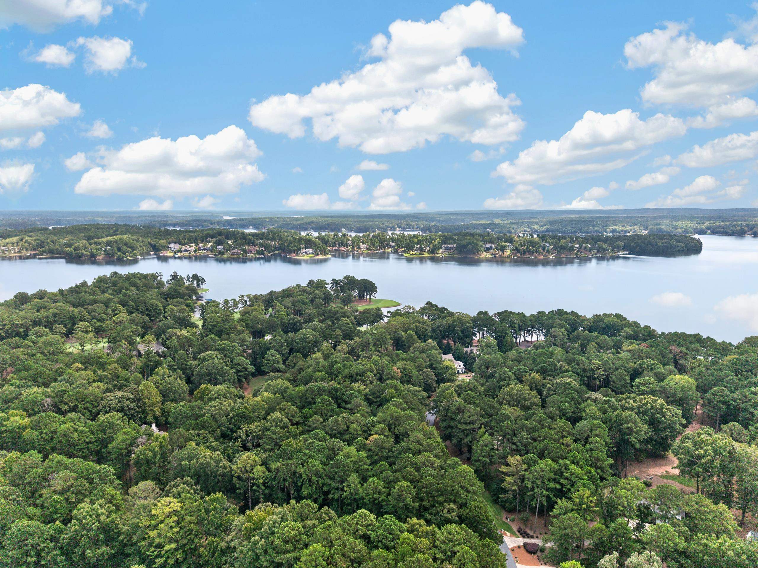 113 Porterfield Drive image 8