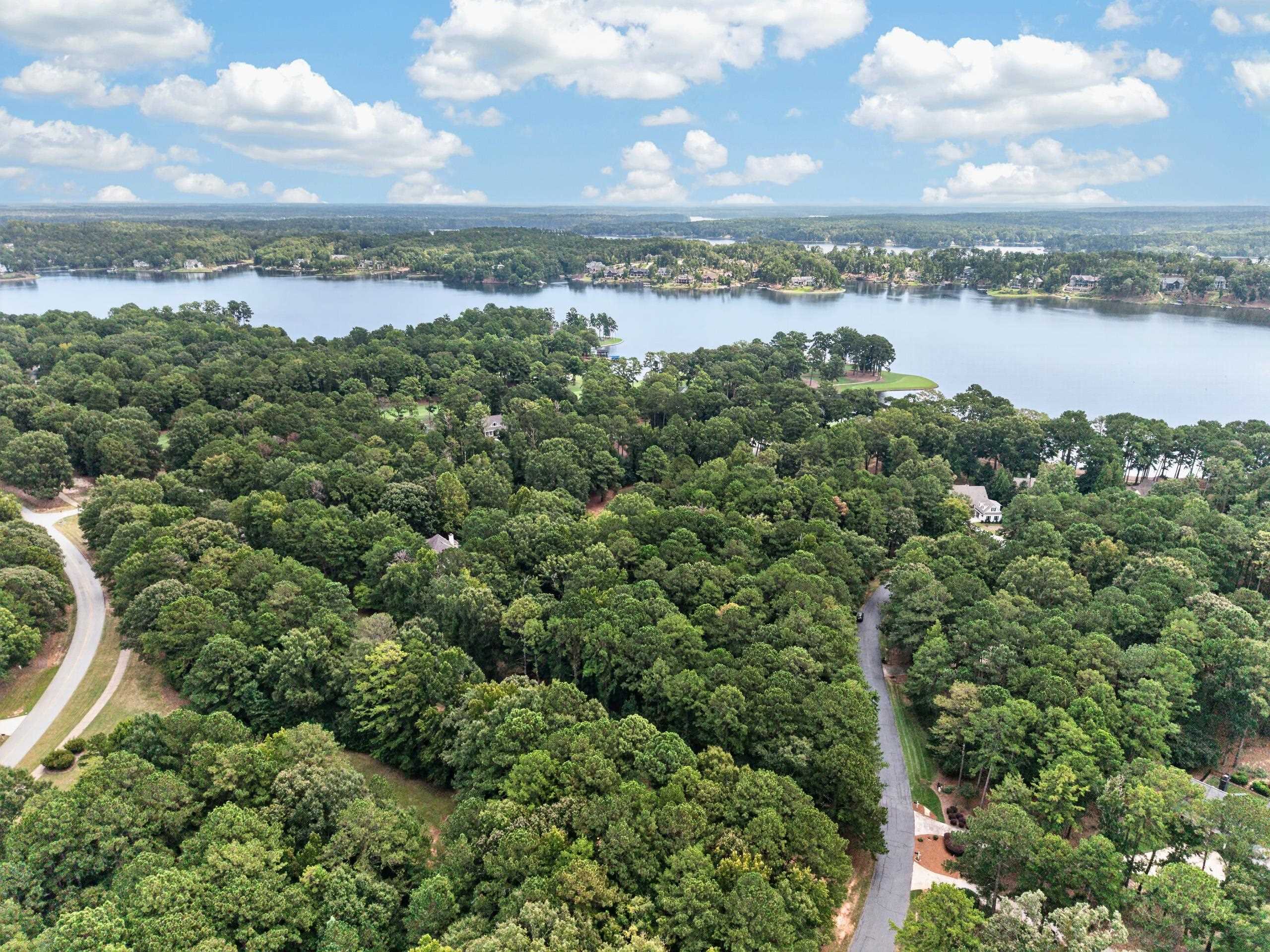 113 Porterfield Drive image 9