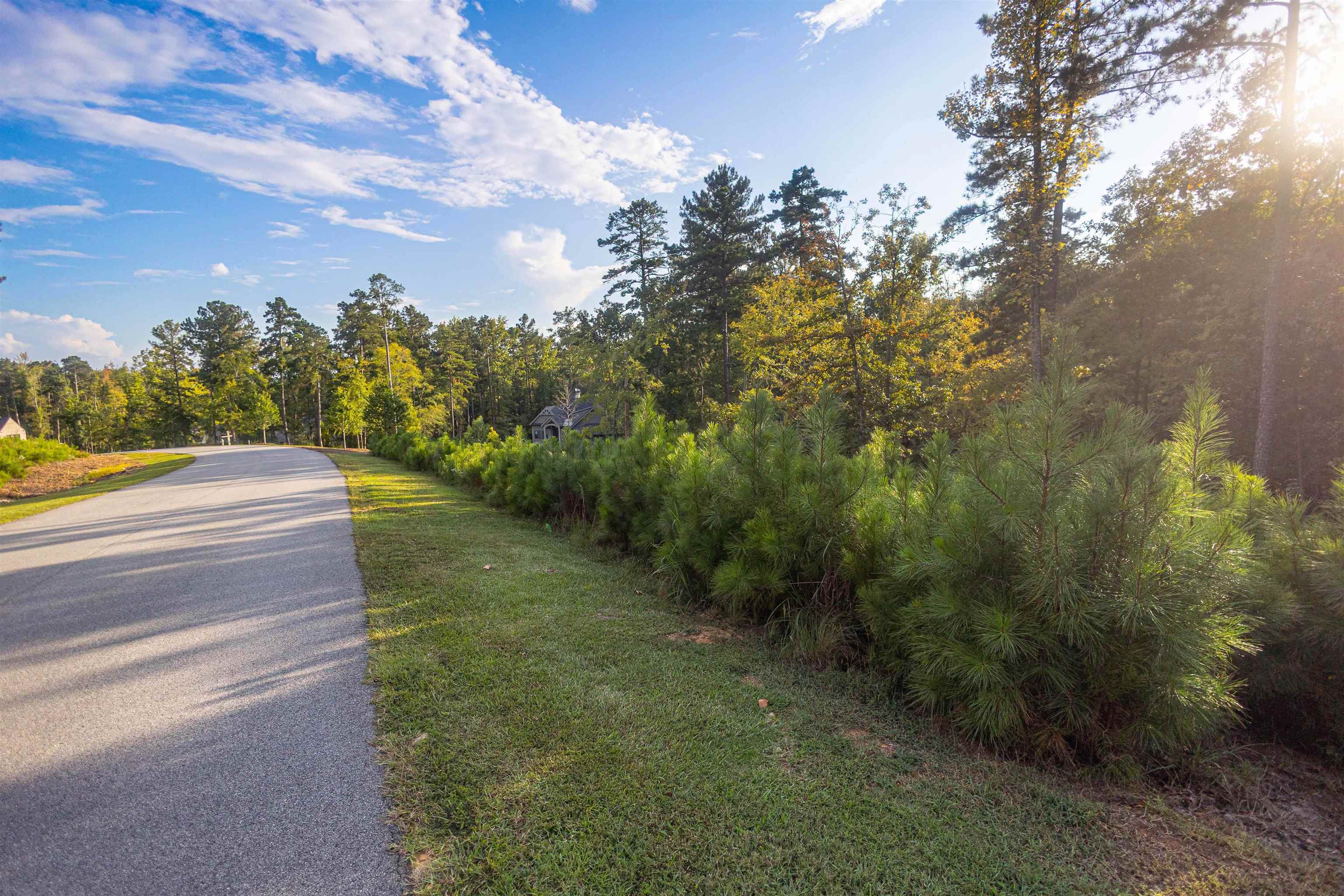 1079 Fox Squirrel Dr image 6