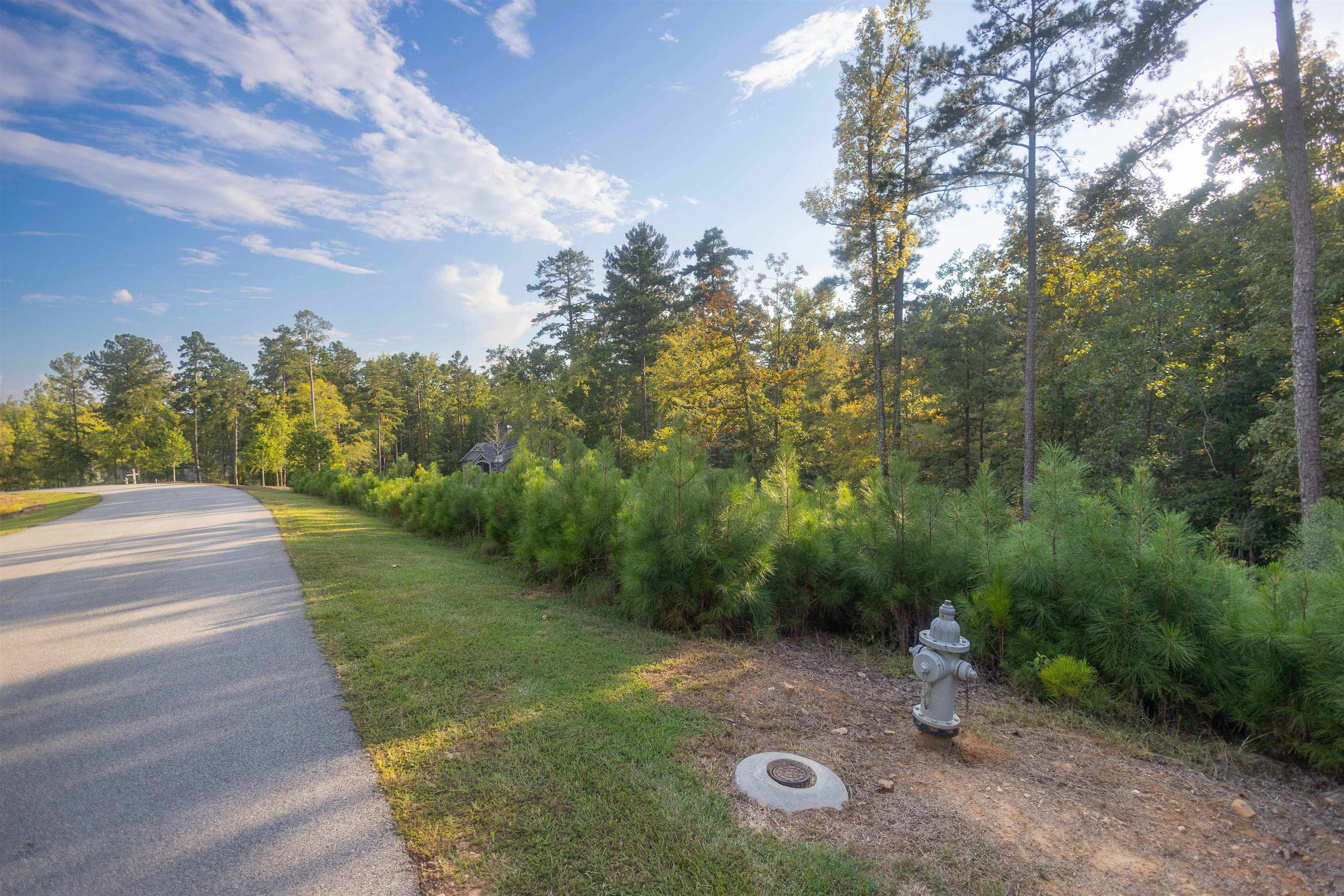 1079 Fox Squirrel Dr image 7