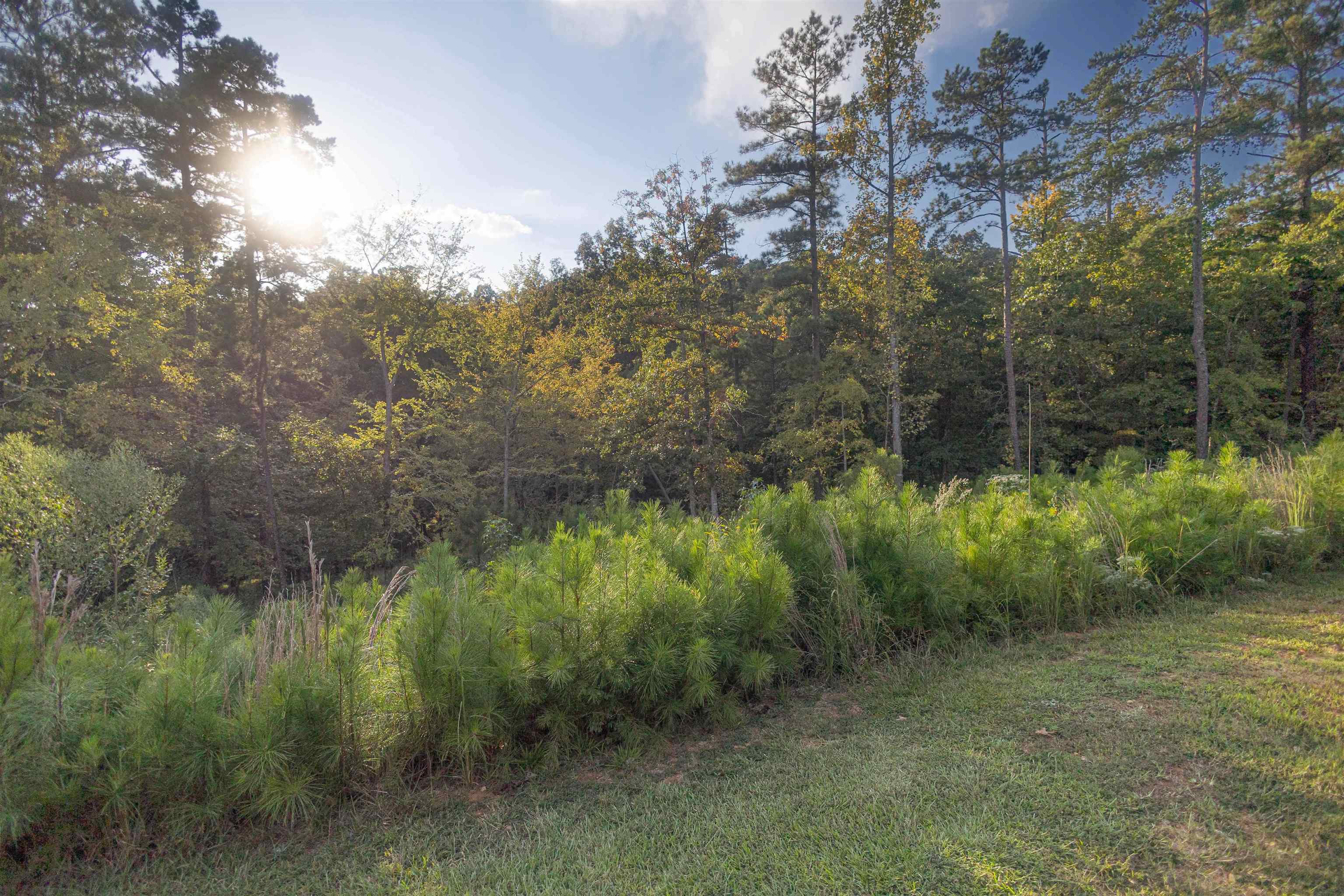 1079 Fox Squirrel Dr image 8