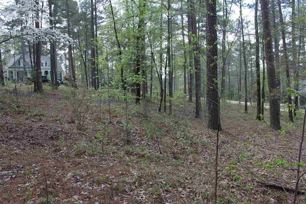 1271 Planters Trail image 11