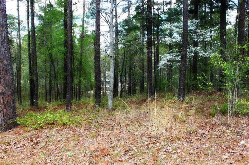 1271 Planters Trail image 12
