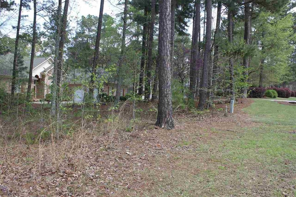 1271 Planters Trail image 4