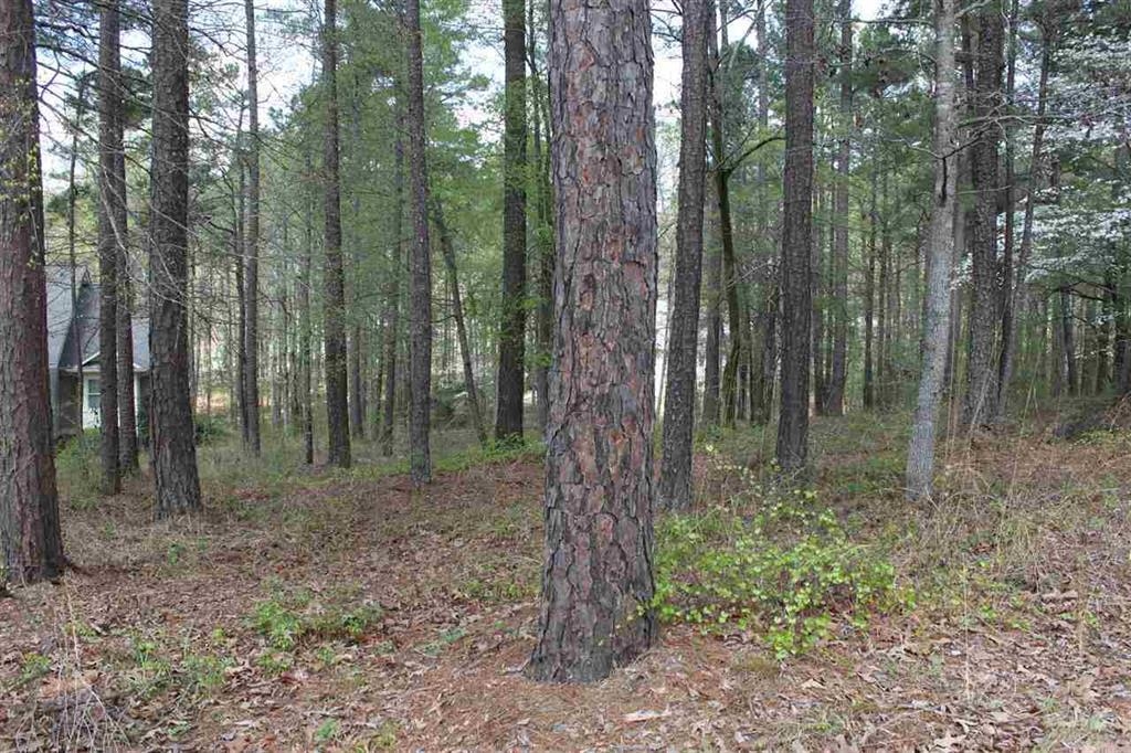 1271 Planters Trail image 5