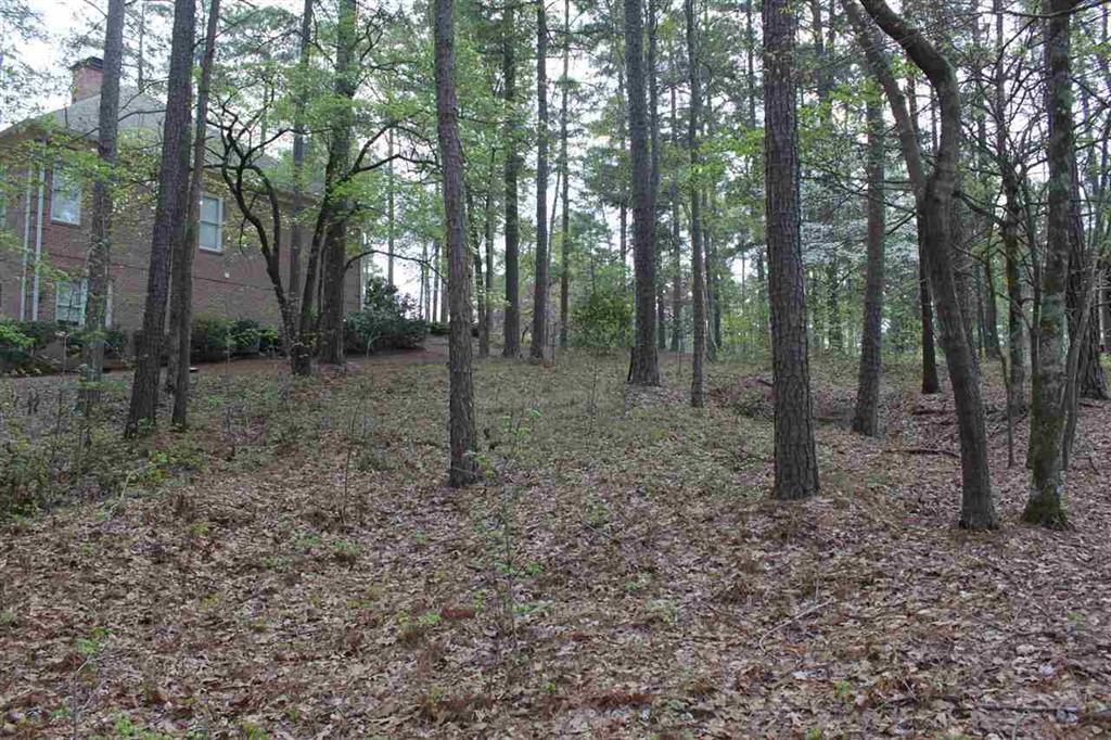 1271 Planters Trail image 7