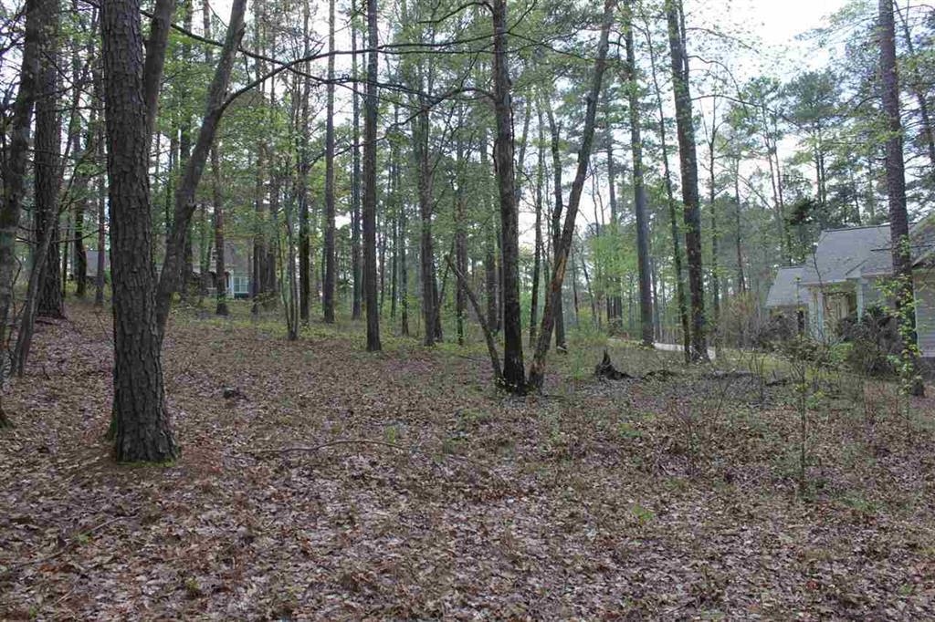 1271 Planters Trail image 8