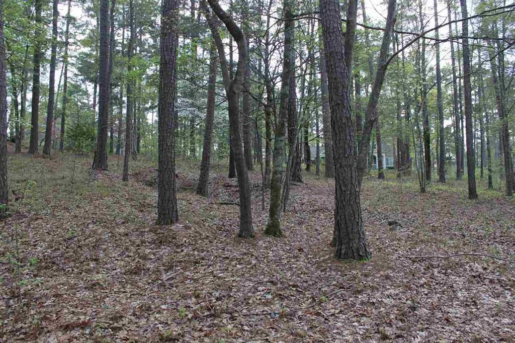1271 Planters Trail image 9