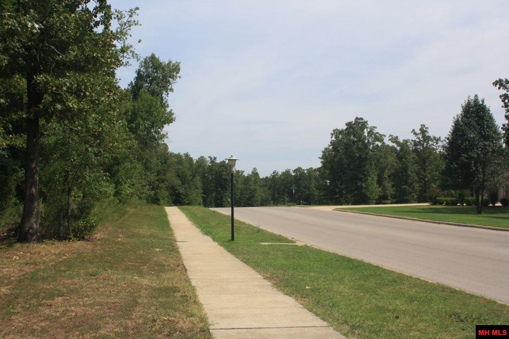 007-03293-970 Buzzard Roost Road