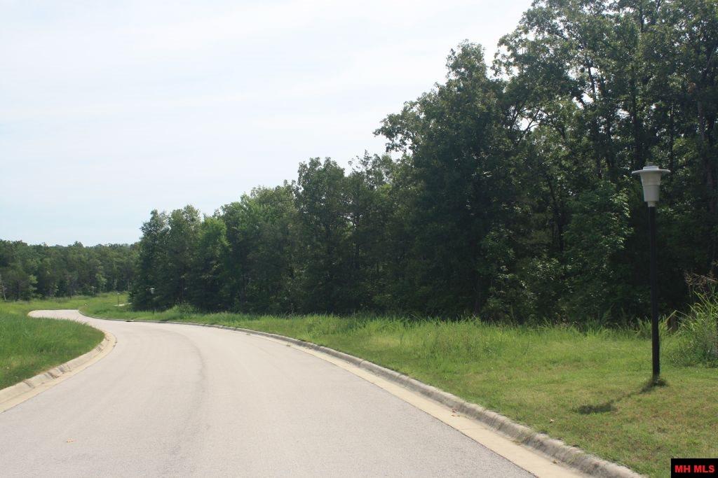 007-03293-970 Buzzard Roost Road