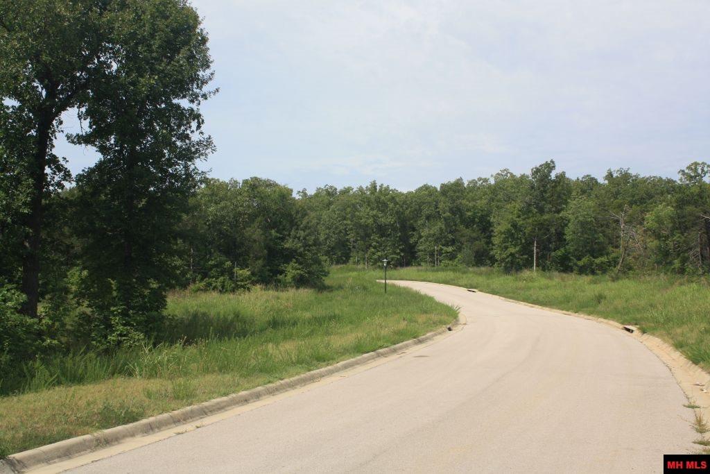 007-03293-970 Buzzard Roost Road