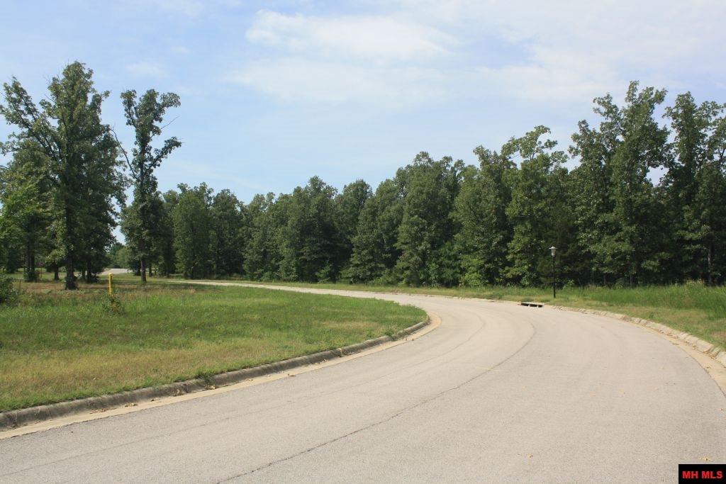 007-03293-970 Buzzard Roost Road