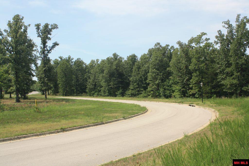 007-03293-970 Buzzard Roost Road