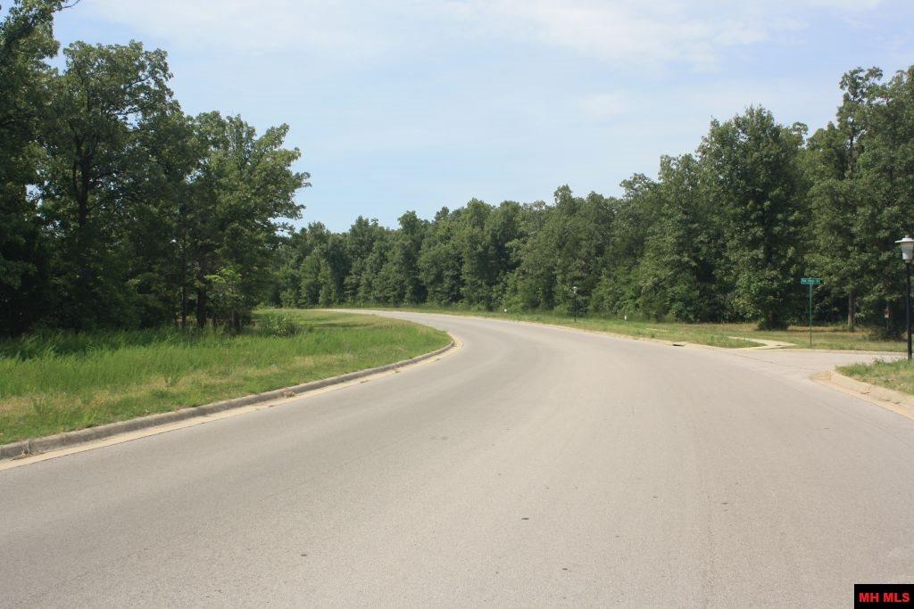 007-03293-970 Buzzard Roost Road