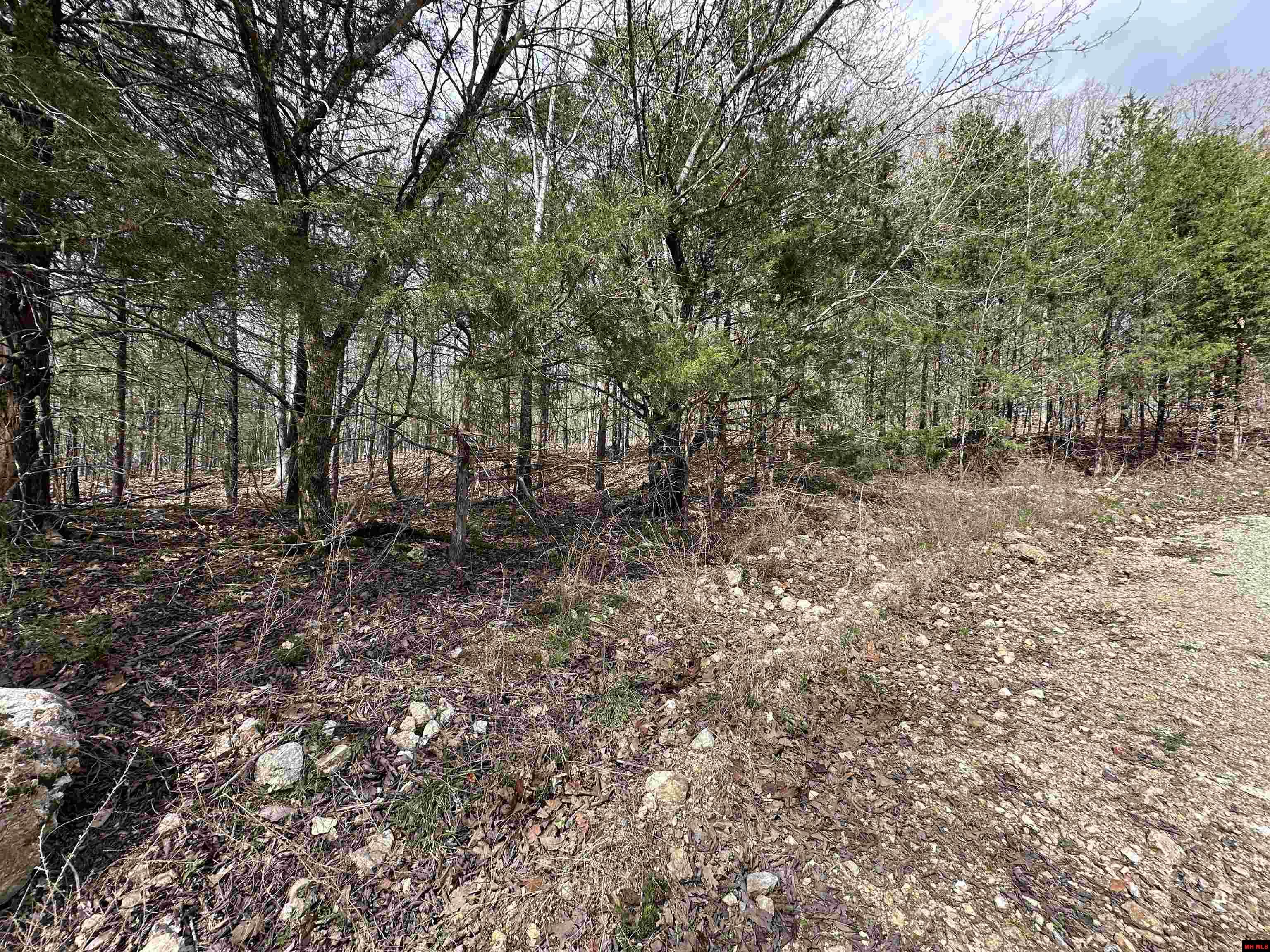 580-00005-016 Dovewood Lane