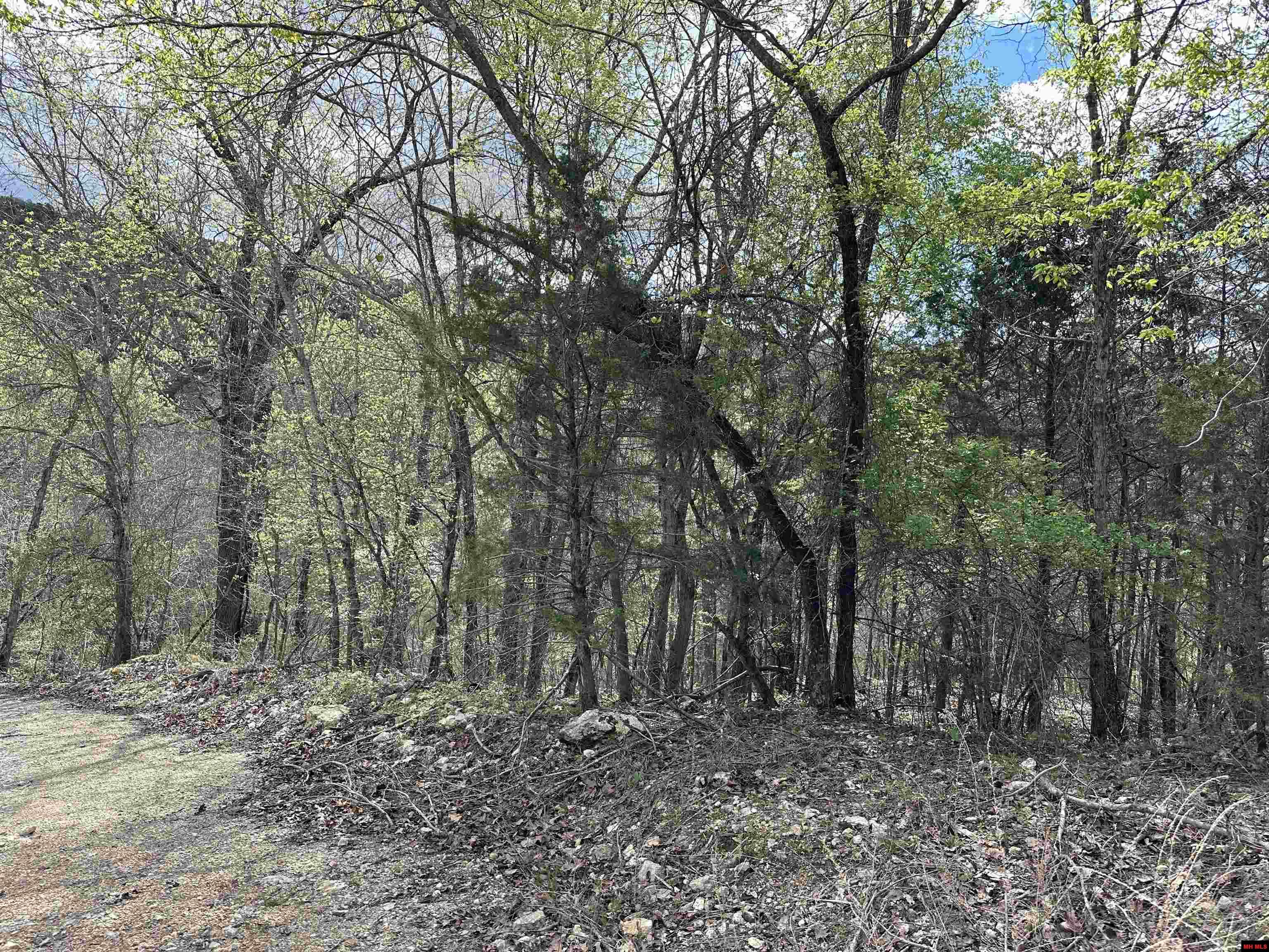 580-00005-016 Dovewood Lane