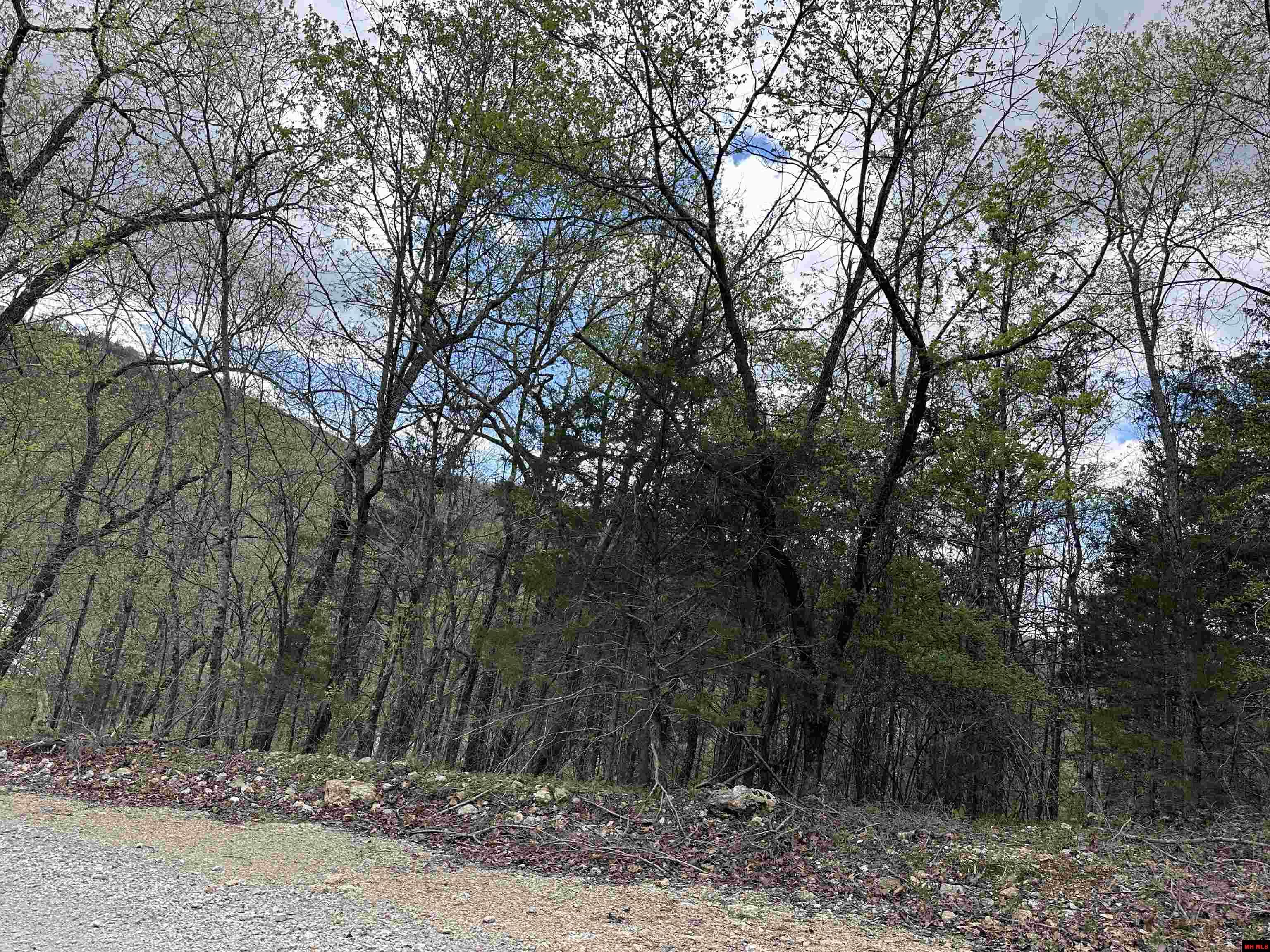 580-00005-016 Dovewood Lane