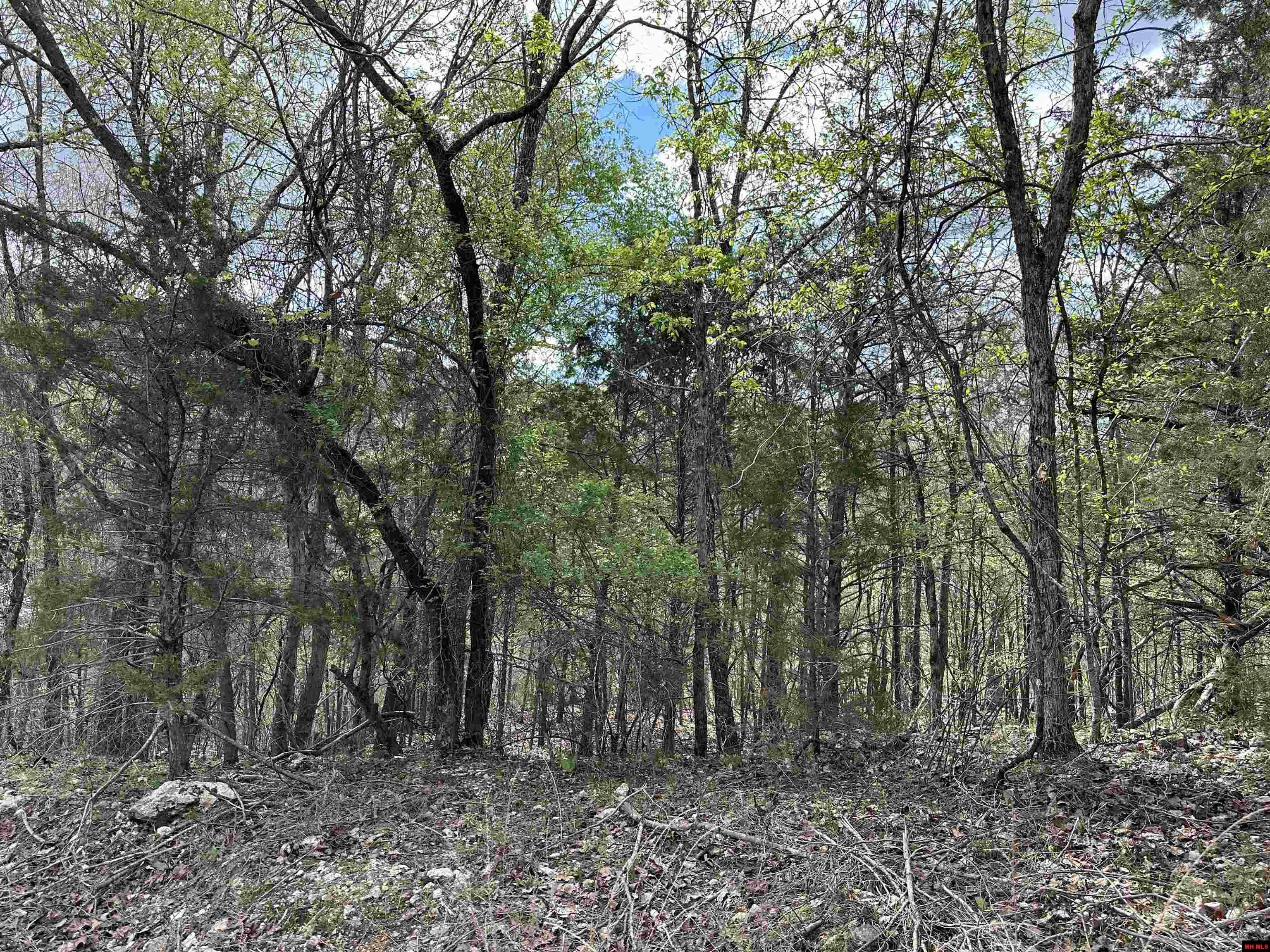 580-00005-016 Dovewood Lane