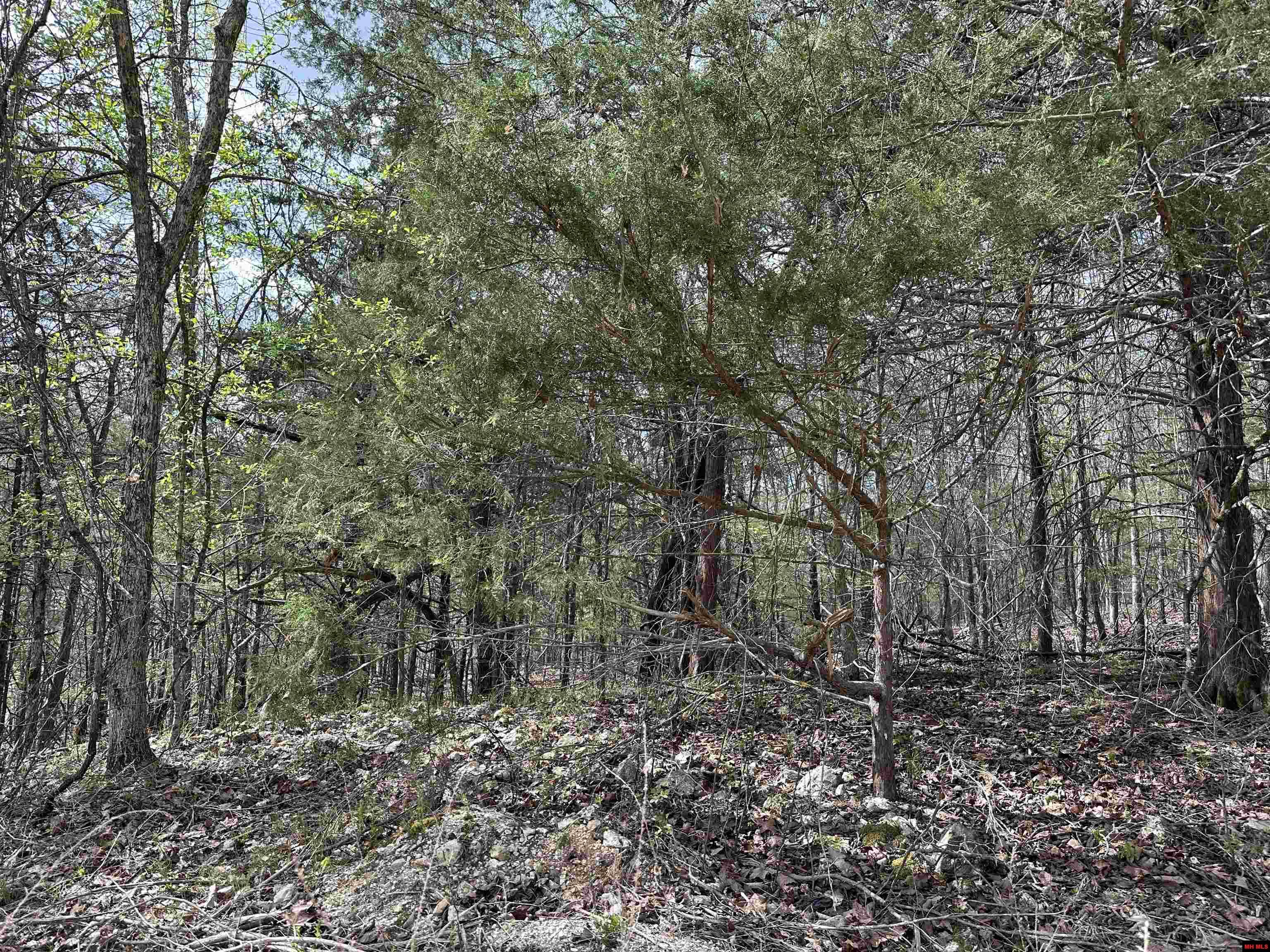 580-00005-016 Dovewood Lane