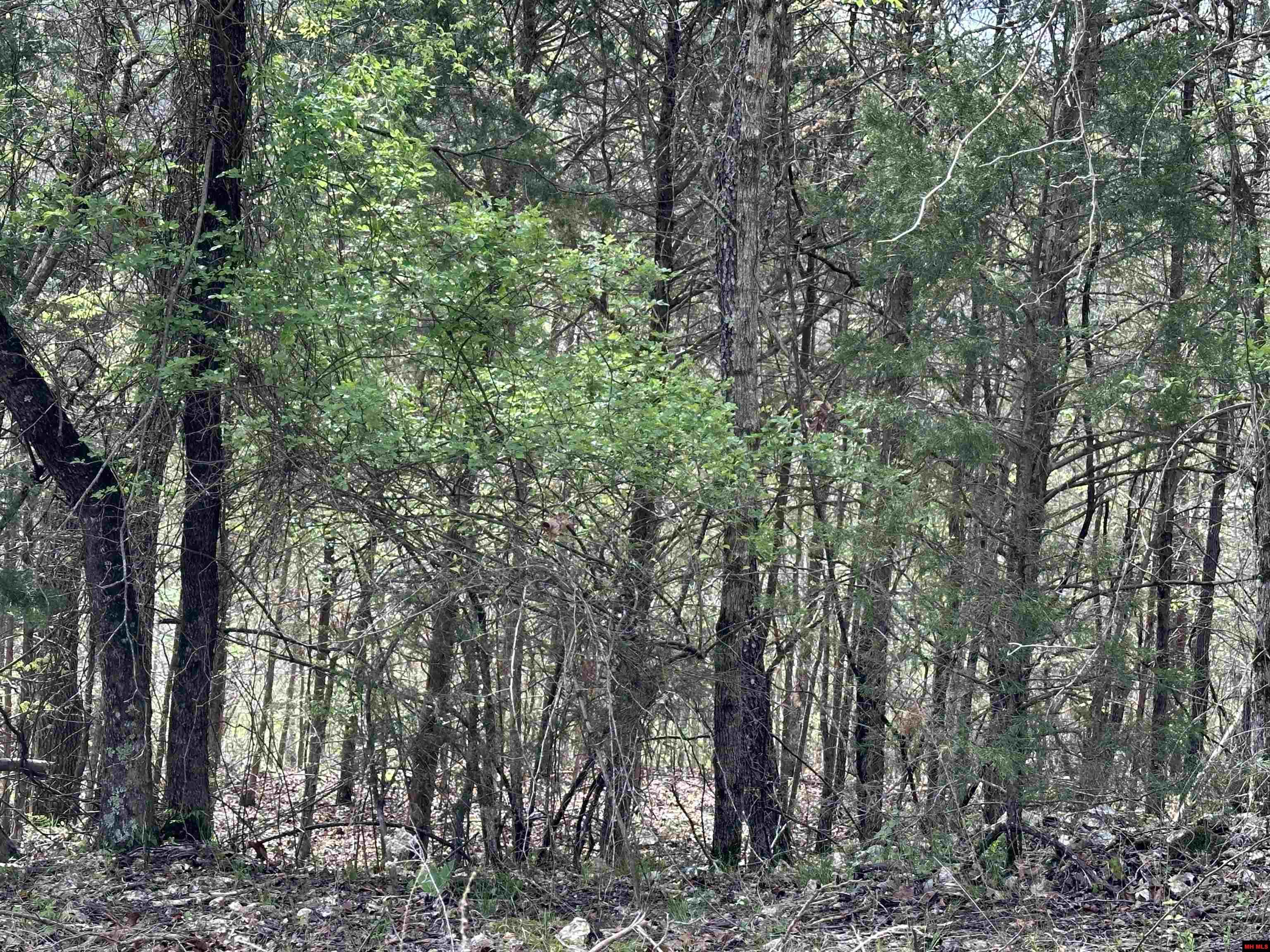 580-00005-016 Dovewood Lane