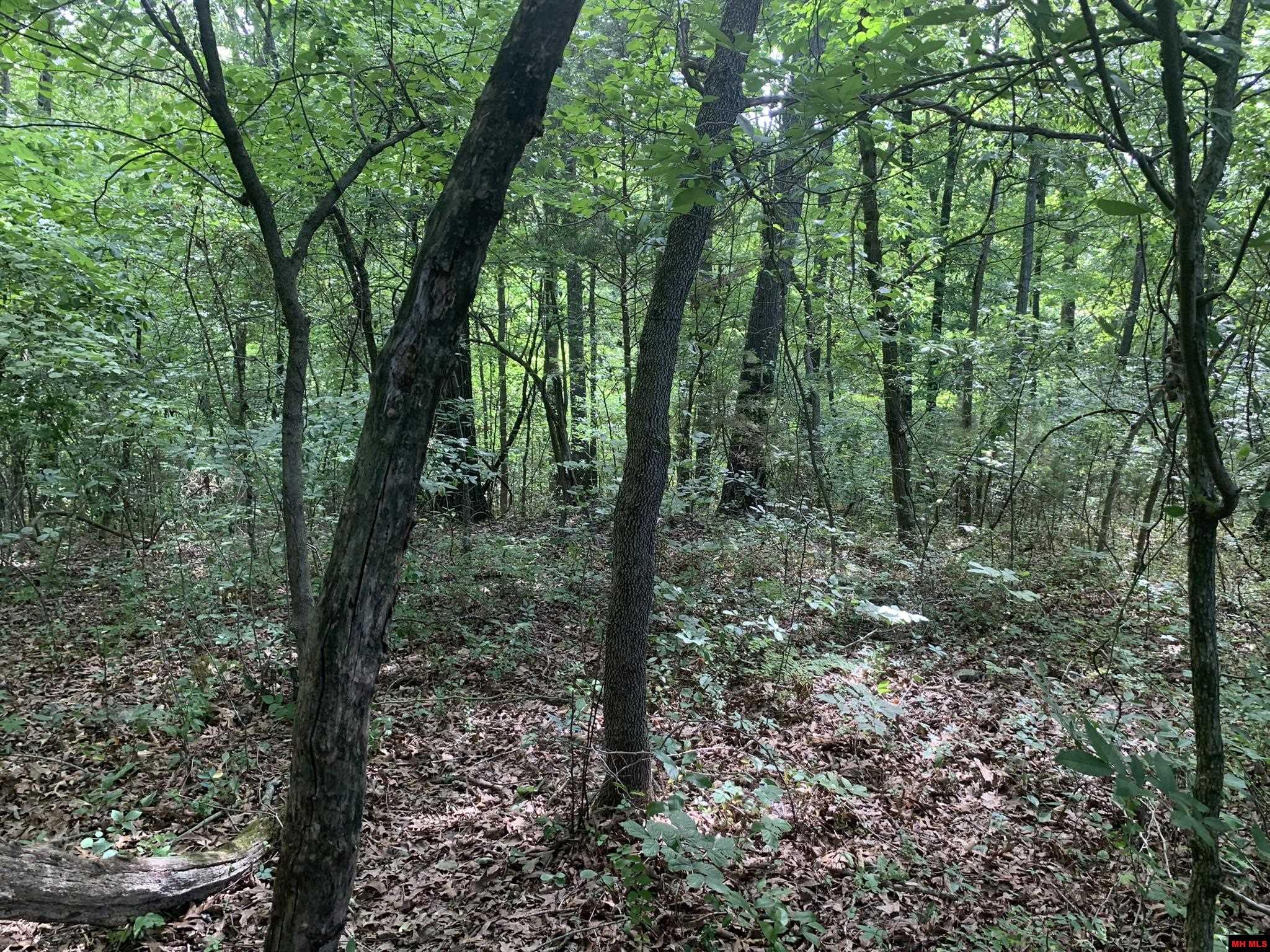 1408 N Panther Avenue