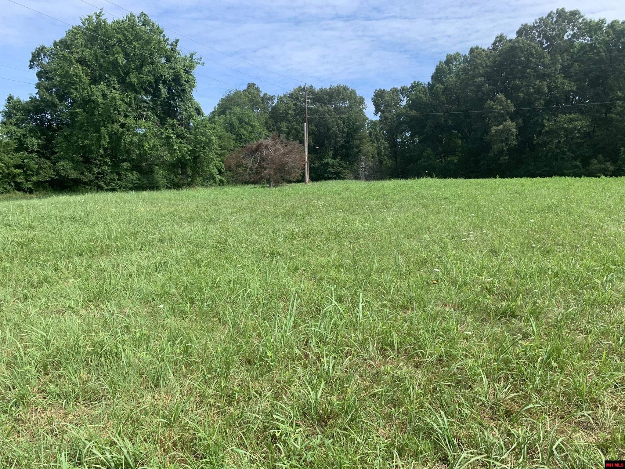 1408 N Panther Avenue