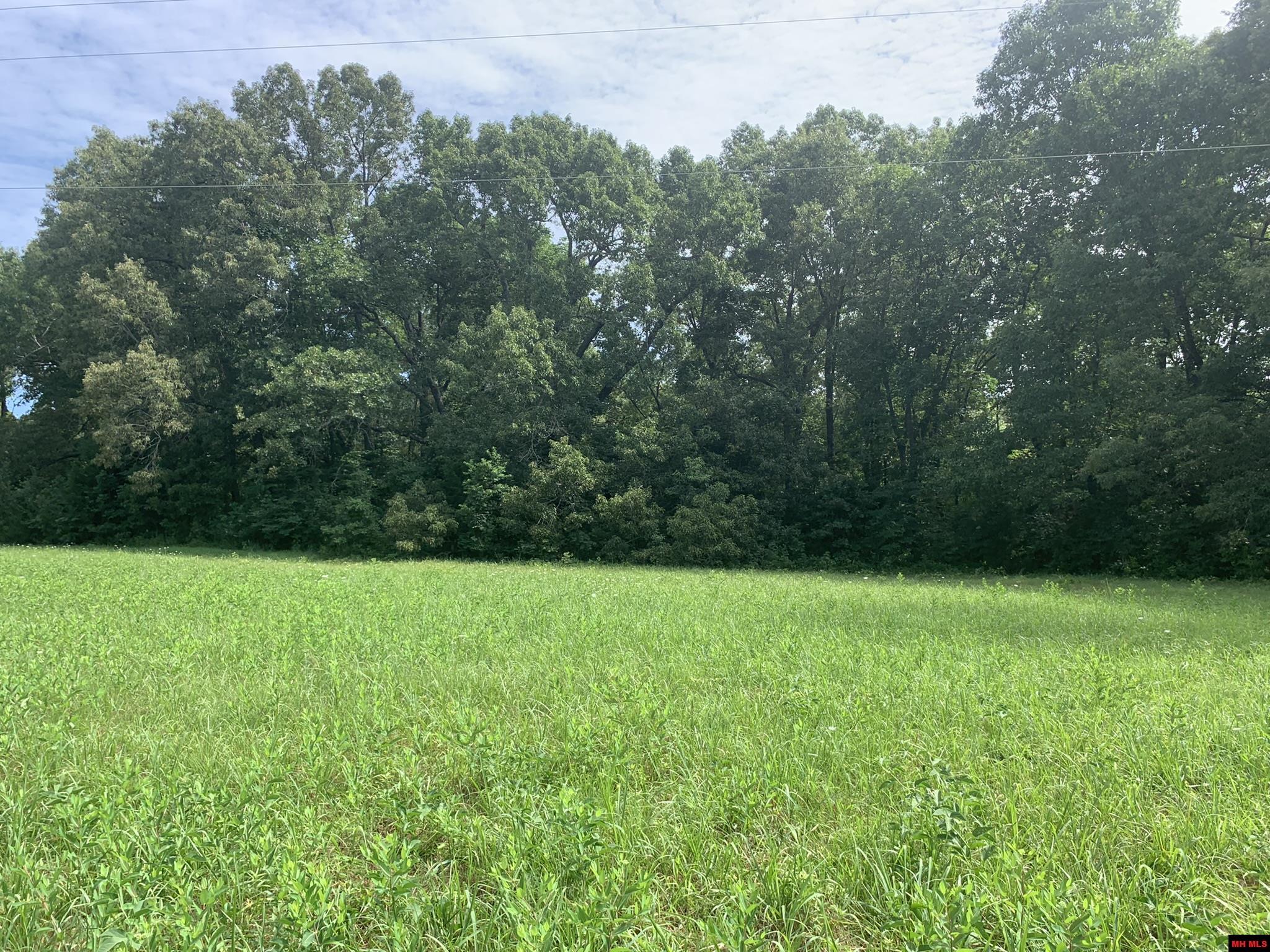 1408 N Panther Avenue