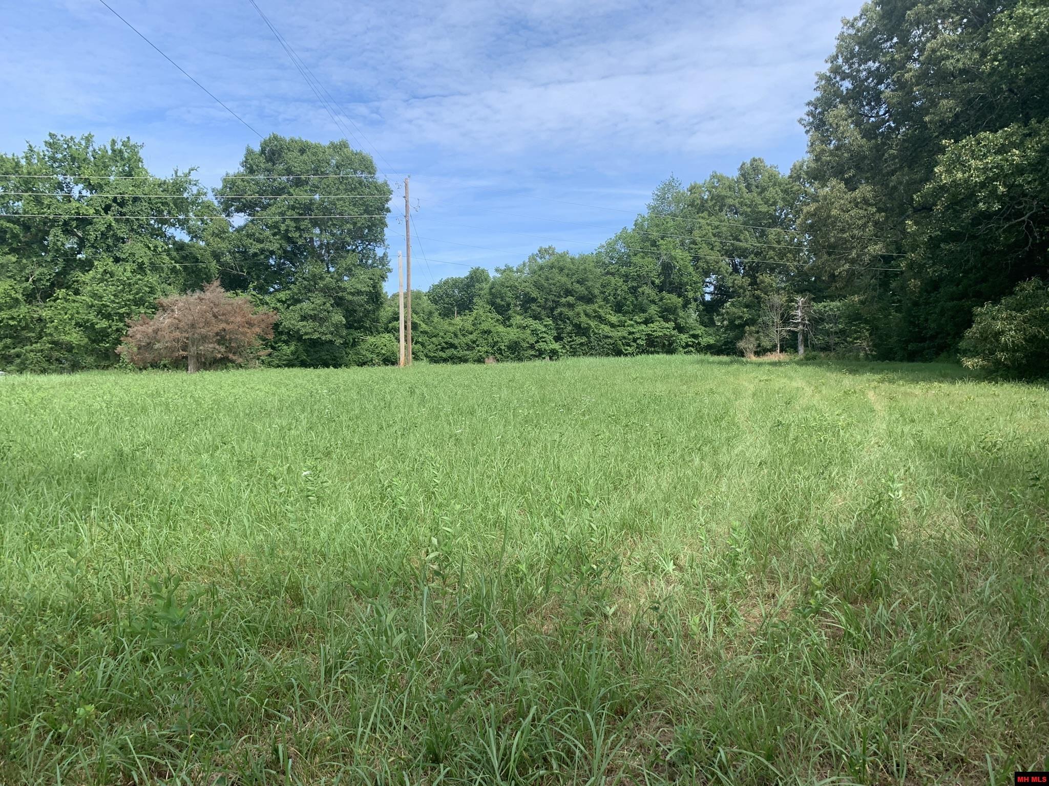 1408 N Panther Avenue