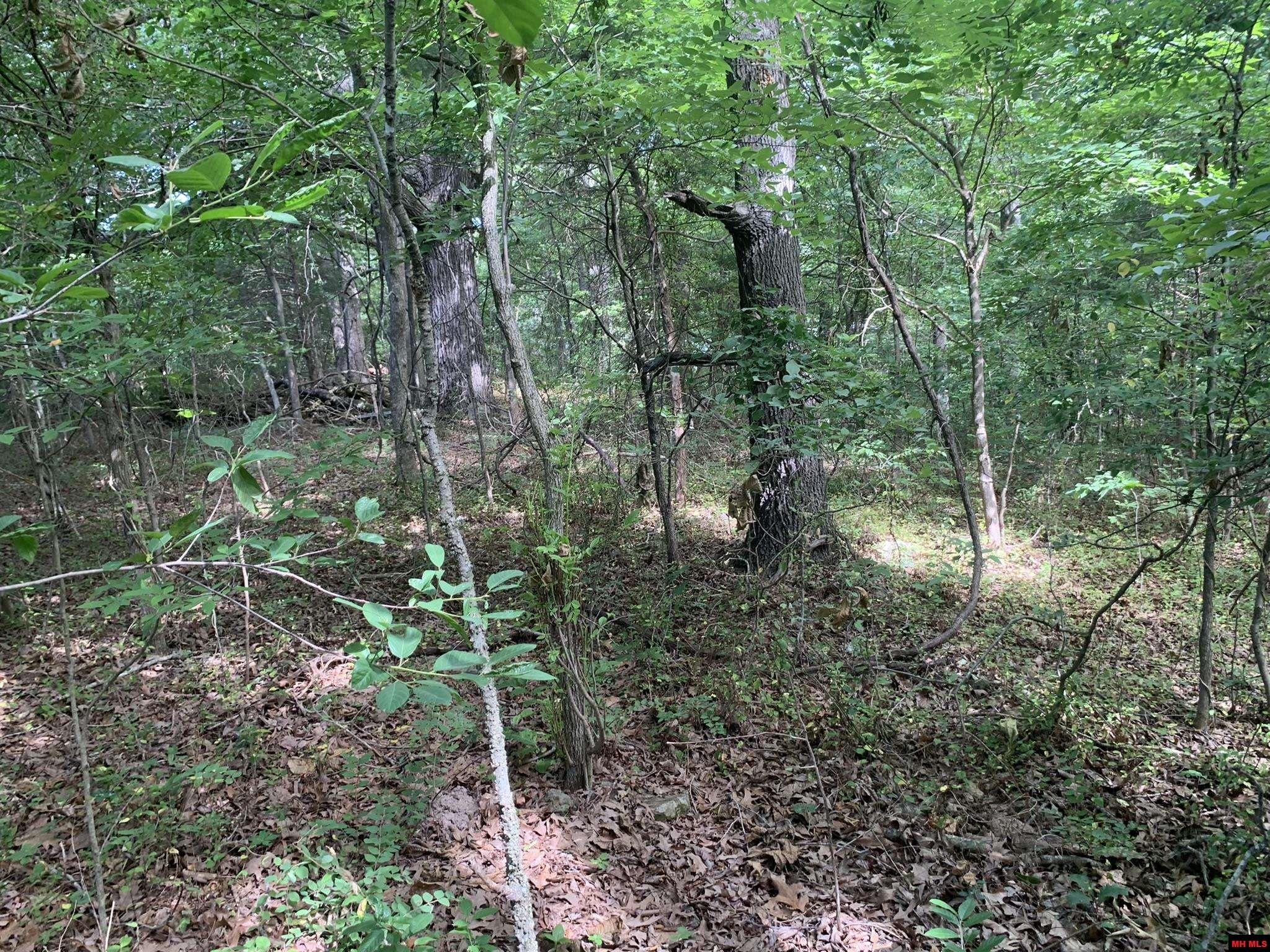 1408 N Panther Avenue