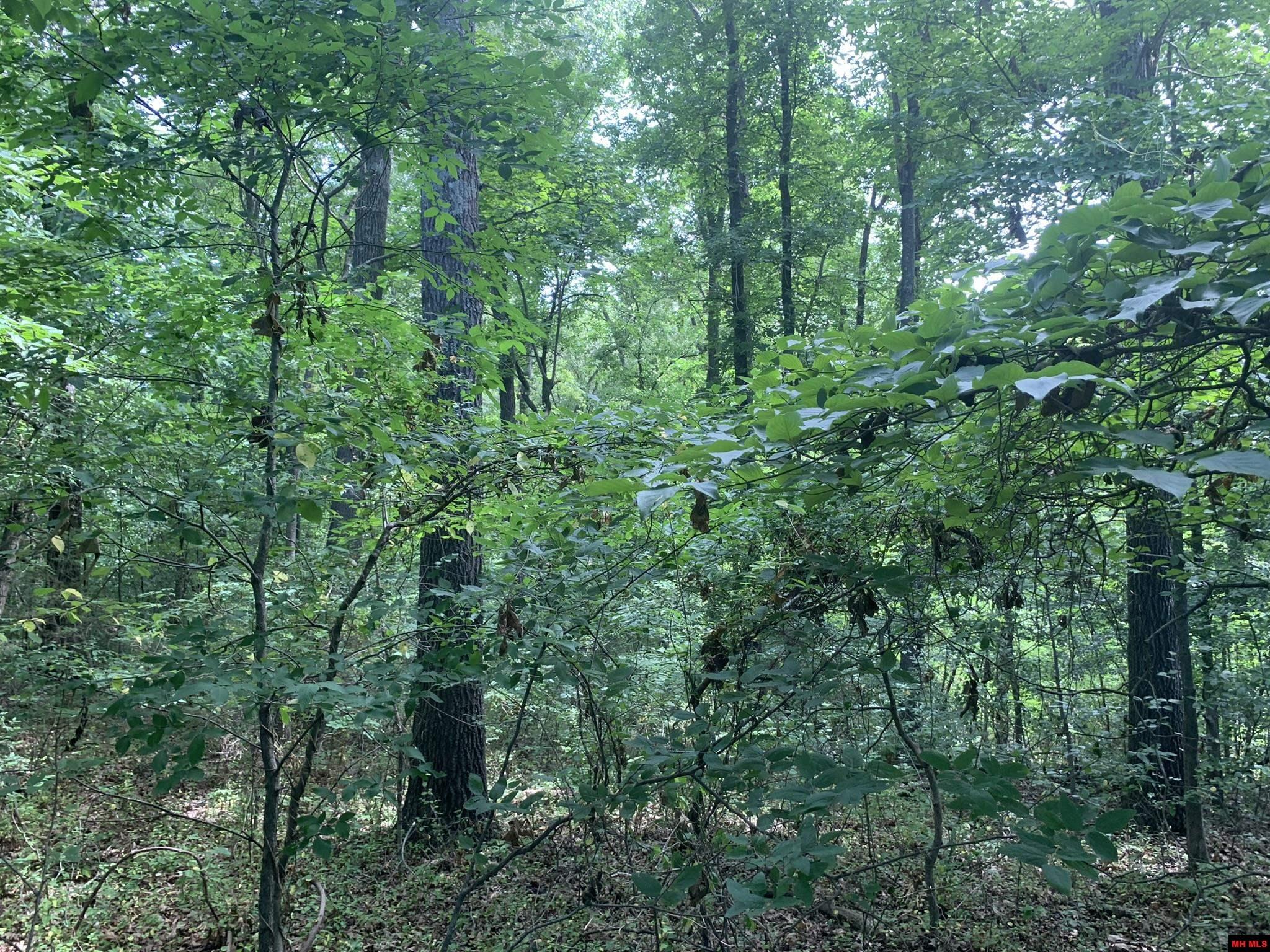 1408 N Panther Avenue