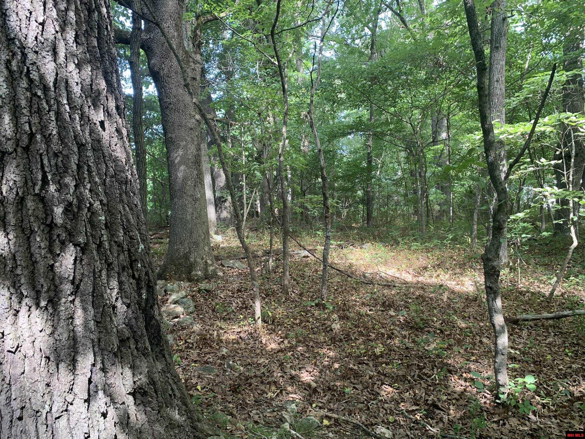 1408 N Panther Avenue