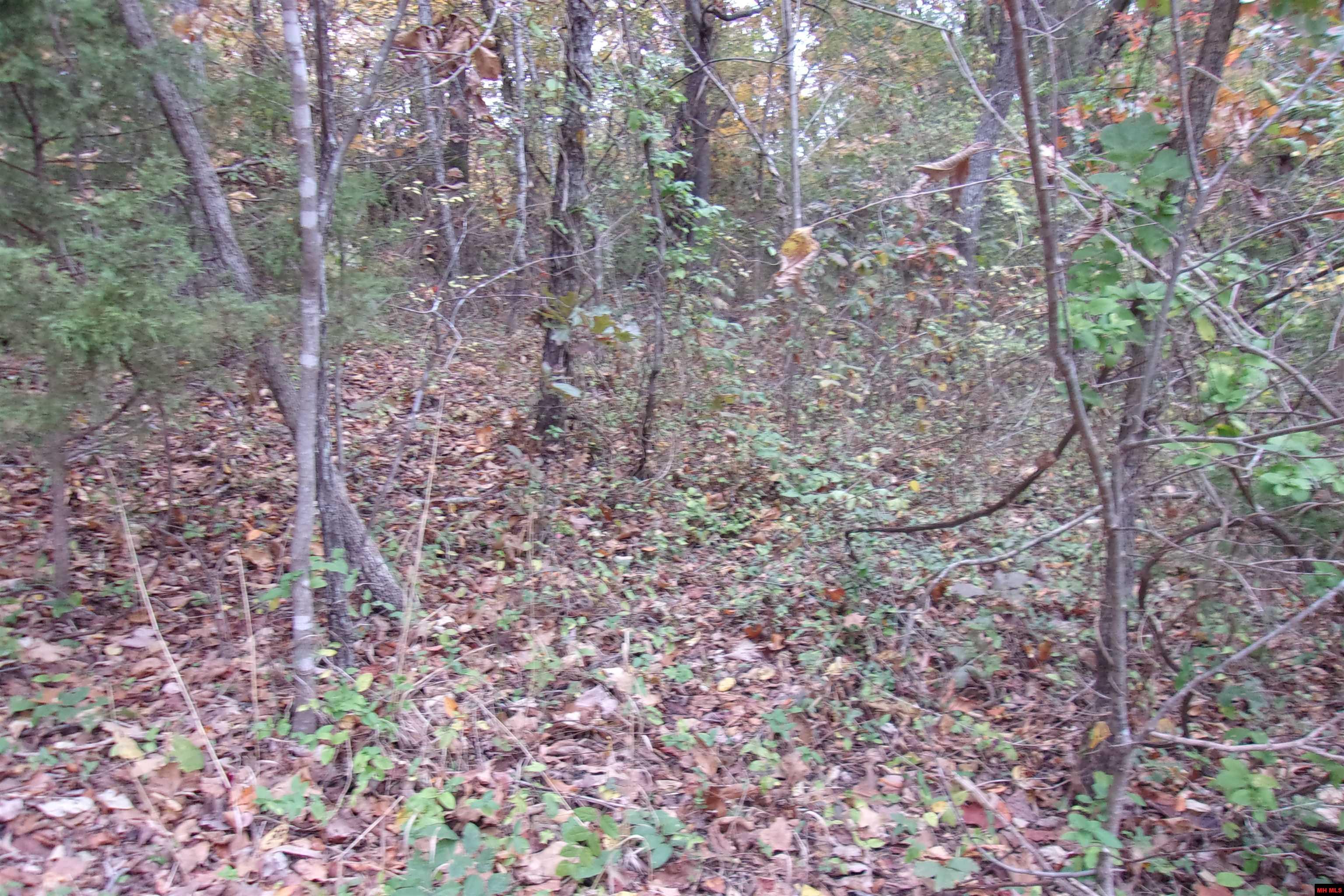 002-04257-504 Flint Drive