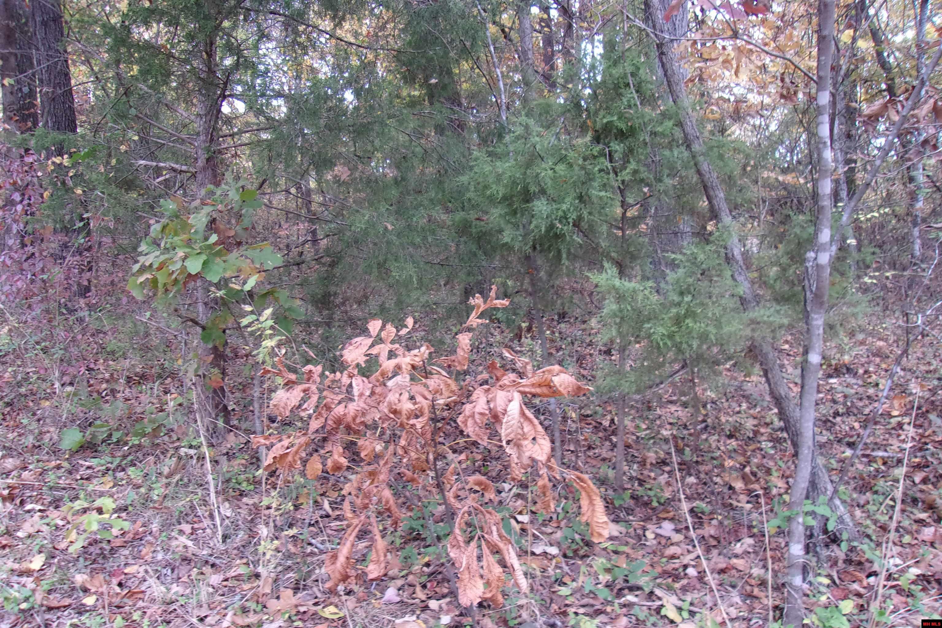 002-04257-504 Flint Drive