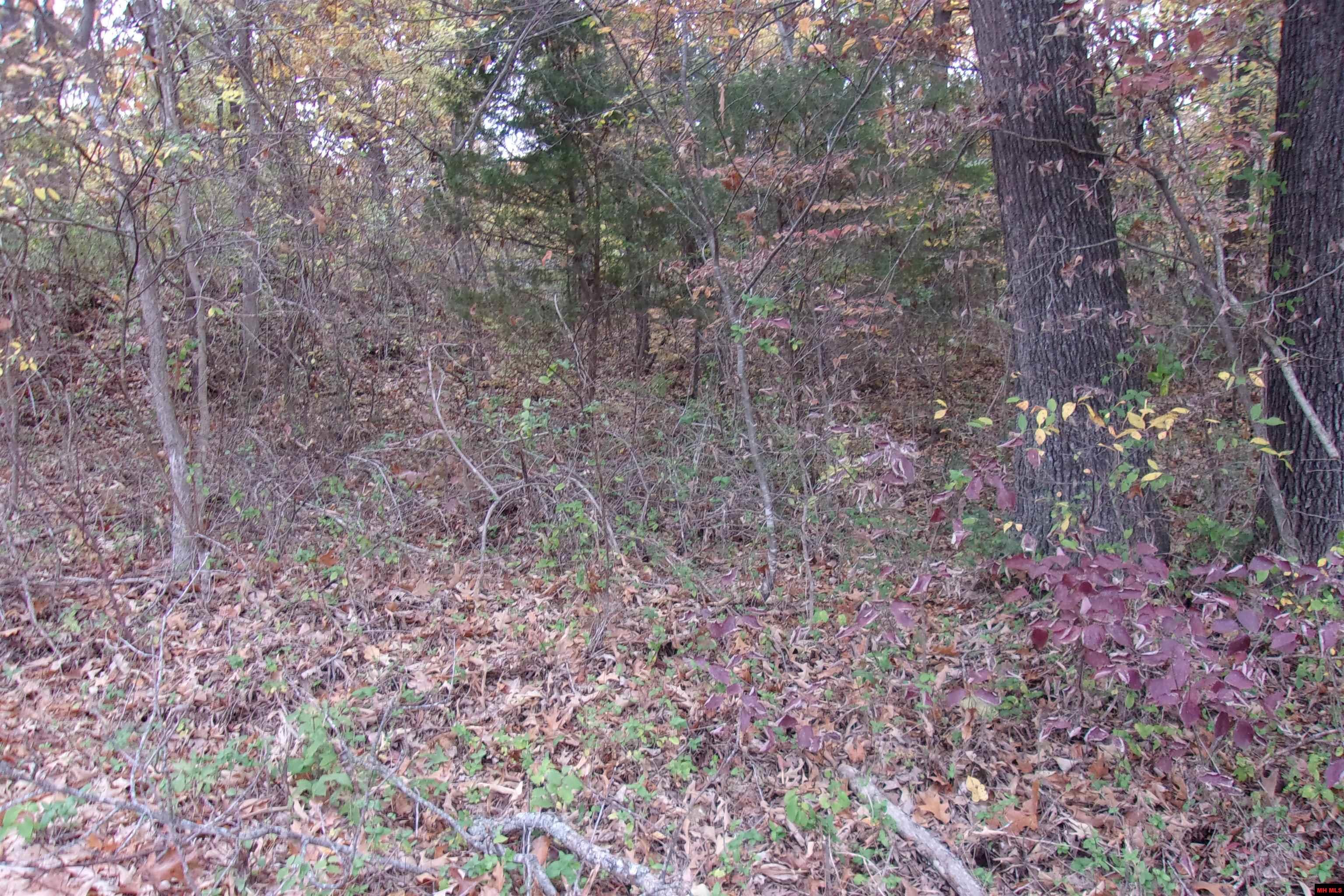 002-04257-504 Flint Drive