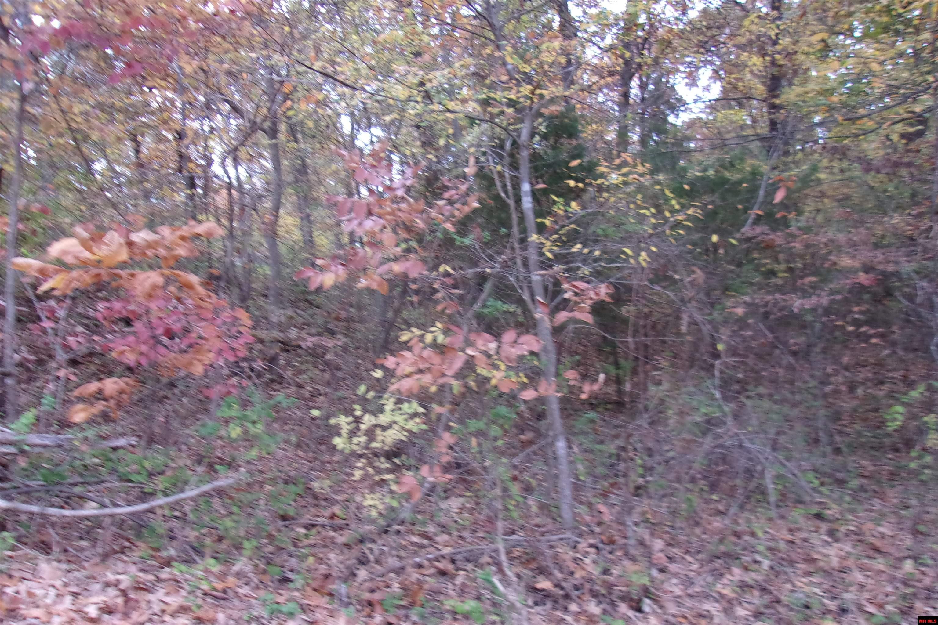 002-04257-504 Flint Drive