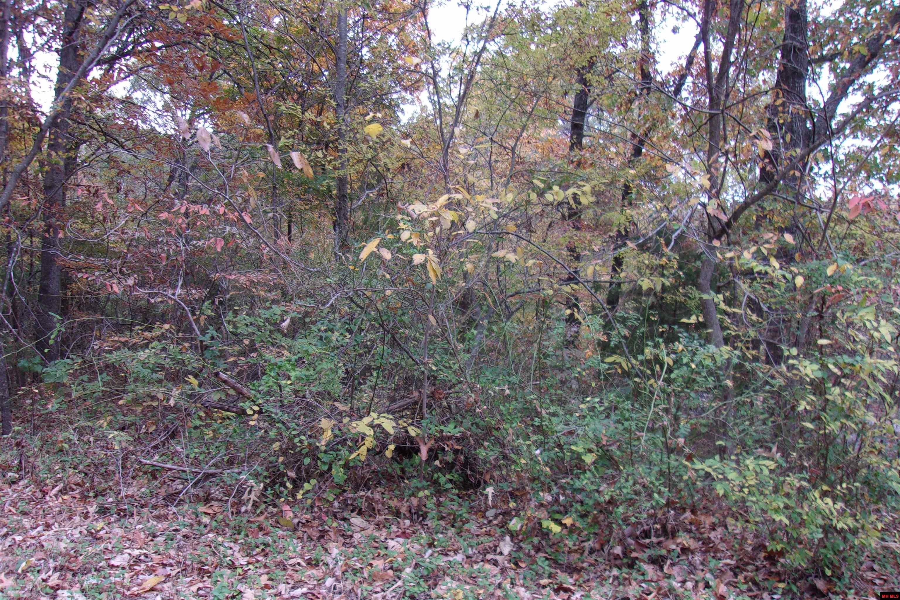 002-04257-504 Flint Drive