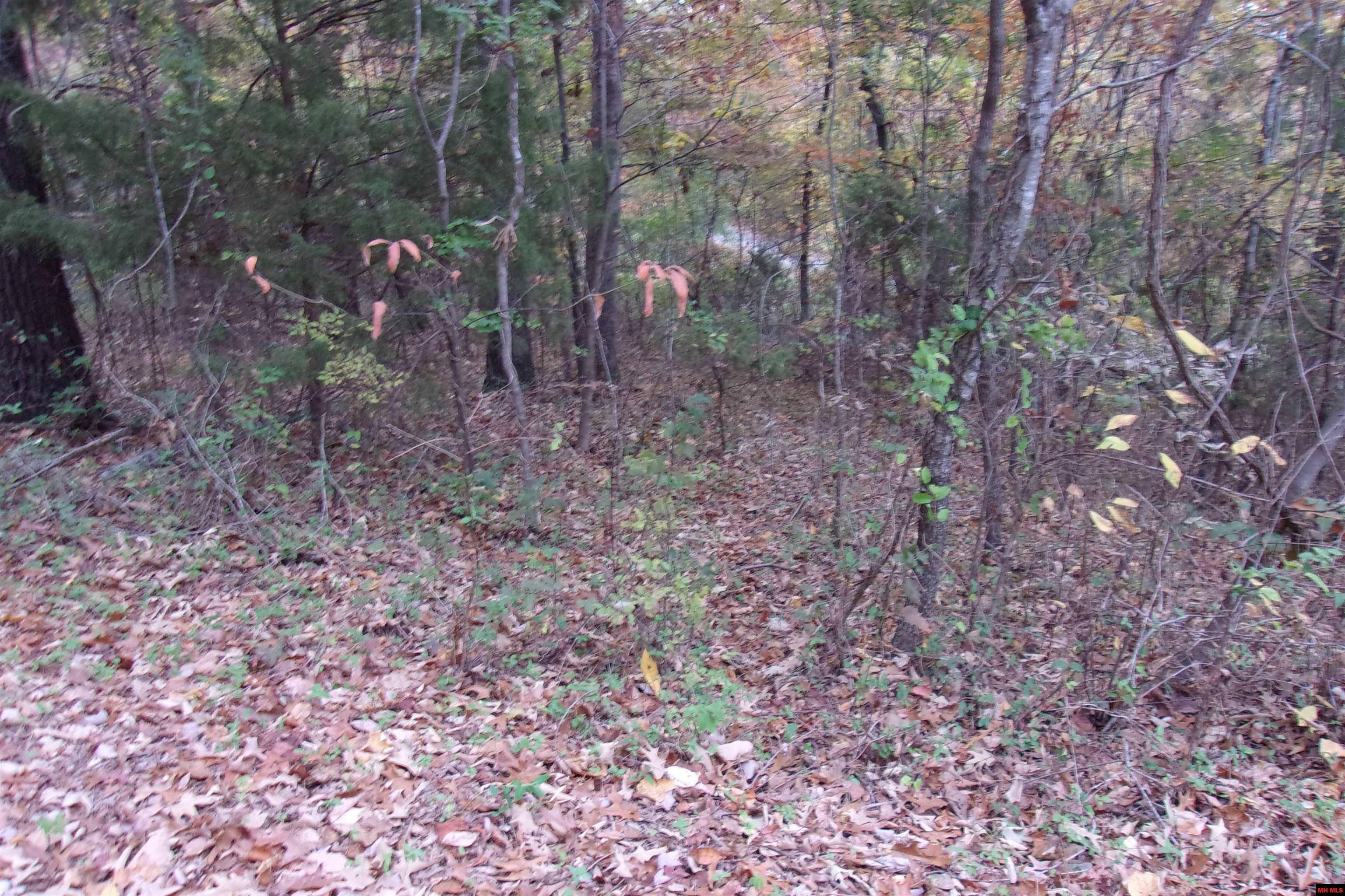 002-04257-504 Flint Drive