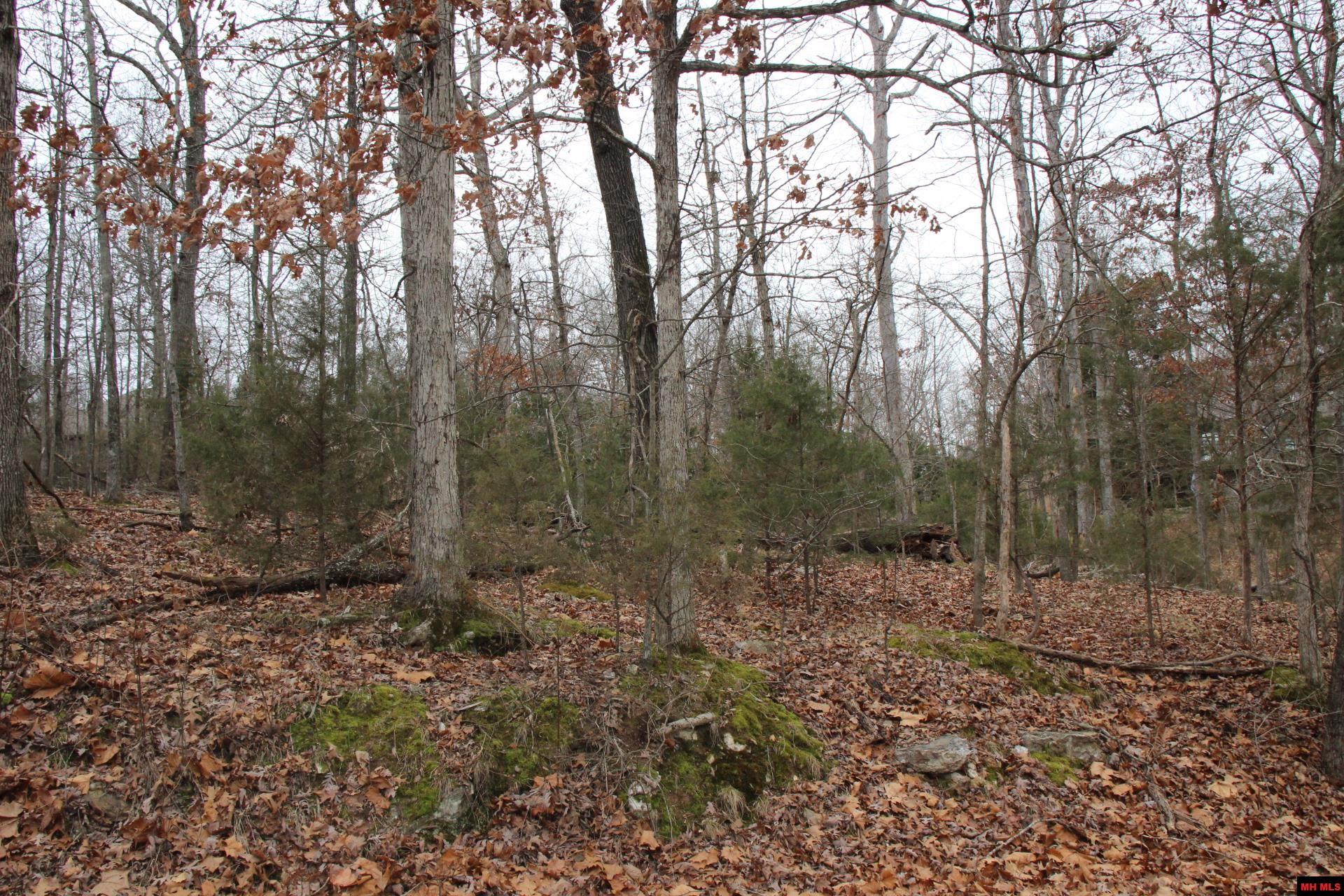 Lot 21 Woodstone Road