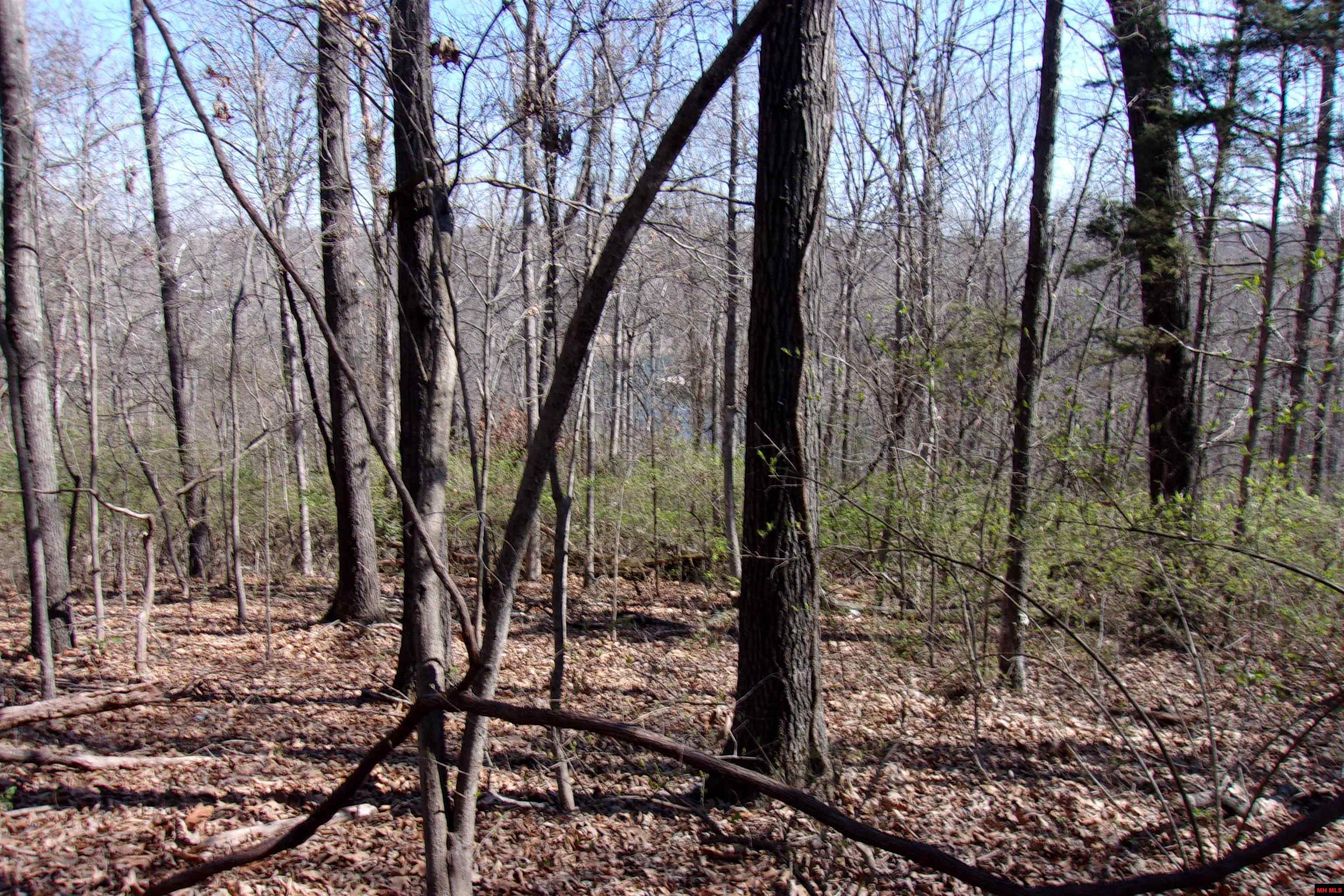 760-19129-000 Alford Drive